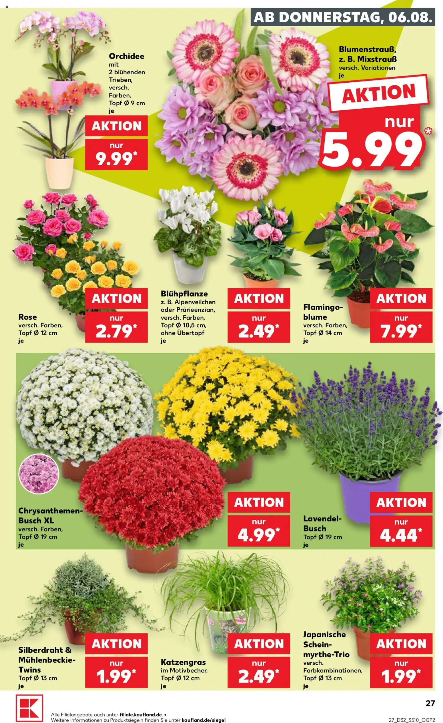 Kaufland Prospekt Zeitz – gültig ab 06.08.2026 | Seite: 27 | Produkte: Orchidee, Lavendel