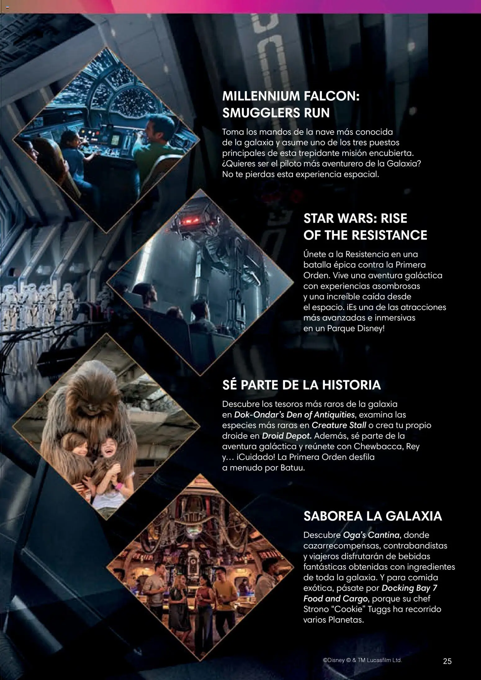 Viajes El Corte Inglés Folleto Walt Disney World │ válido desde el 03/12/2025 | Página: 25 | Productos: Ingredientes, Té, Bebidas