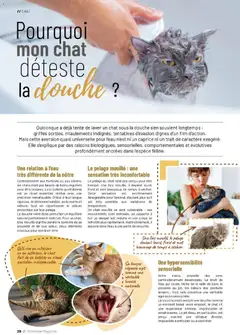VillaVerde - Prévisualisation de VillaVerde catalogue animalerie valide à partir de 28.05.2026 | Page: 28 | Produits: Tente, Mais, Brosse, Magazine