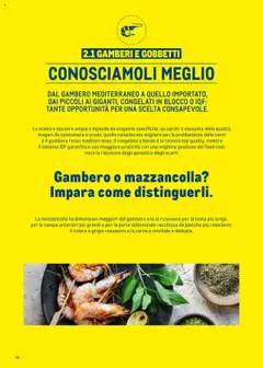 Anteprima del volantino GAMBERI E GOBBETTI, DAL GAMBERO MEDITERRANEO A QUELLO IMPORTATO, DAI PICCOLI AI GIGANTI, CONGELATI IN BLOCCO 0 IQF: TANTE OPPORTUNITÀ PER UNA SCELTA CONSAPEVOLE. valido a partire dal 30.06.2025 | Pagina: 28 | Prodotti: Gamberi, Top