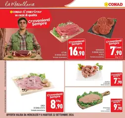Anteprima del volantino SALAMELLA DI PURO SUINO, Salamella di puro suino formato convenienza valido a partire dal 09/09/2026 | Pagina: 28 | Prodotti: Petto di Pollo, Pollo, Suino, Hamburger