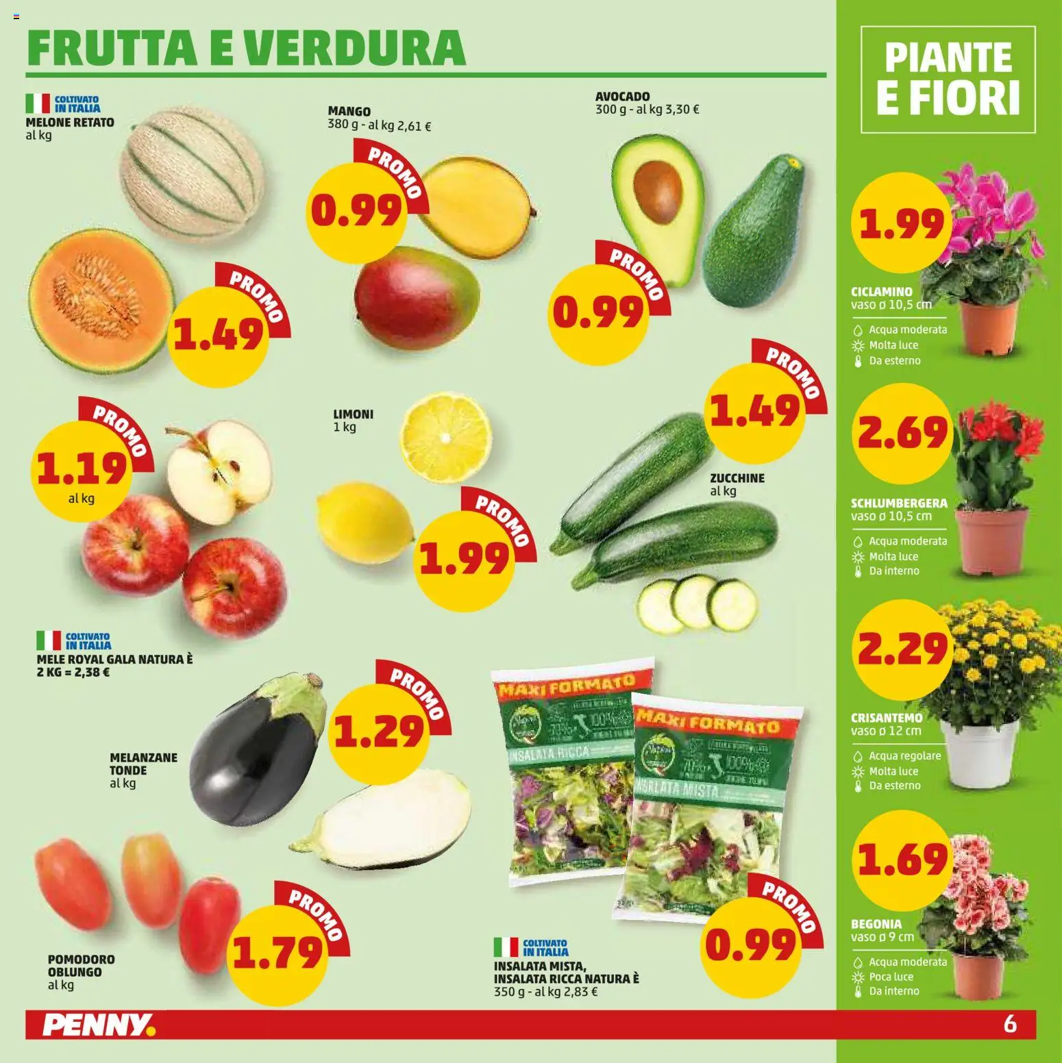 Volantino PENNY del 27/08/2026 | Pagina: 6 | Prodotti: Insalata, Mango, Melone, Melanzane