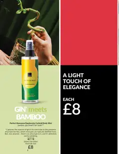 Preview of AVON - Offers valid from 01.05.2026 | Page: 217 | Products: Gin