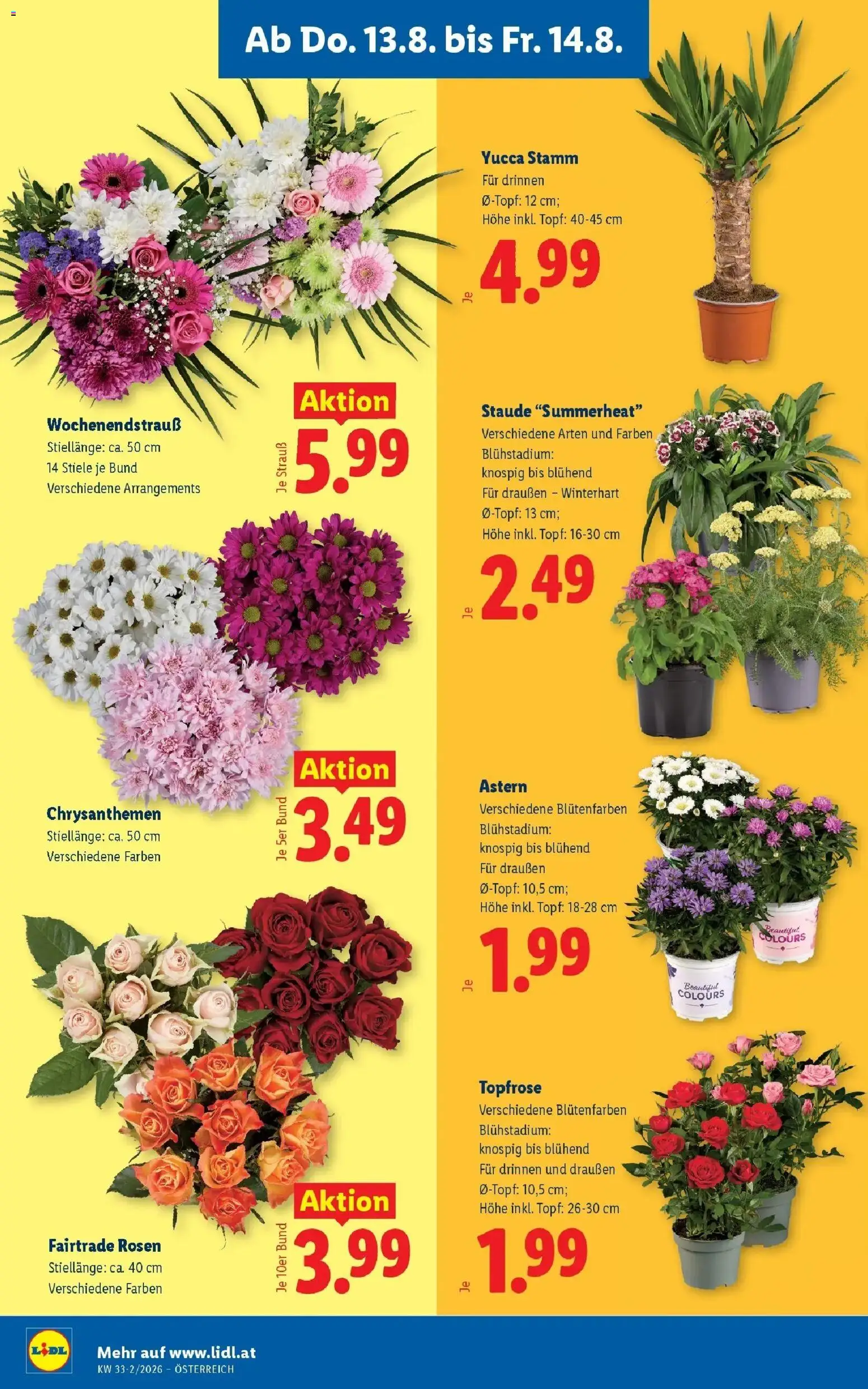 Lidl - Lidl ab 13.08.2026 - Angebote ab donnerstag | Seite: 26