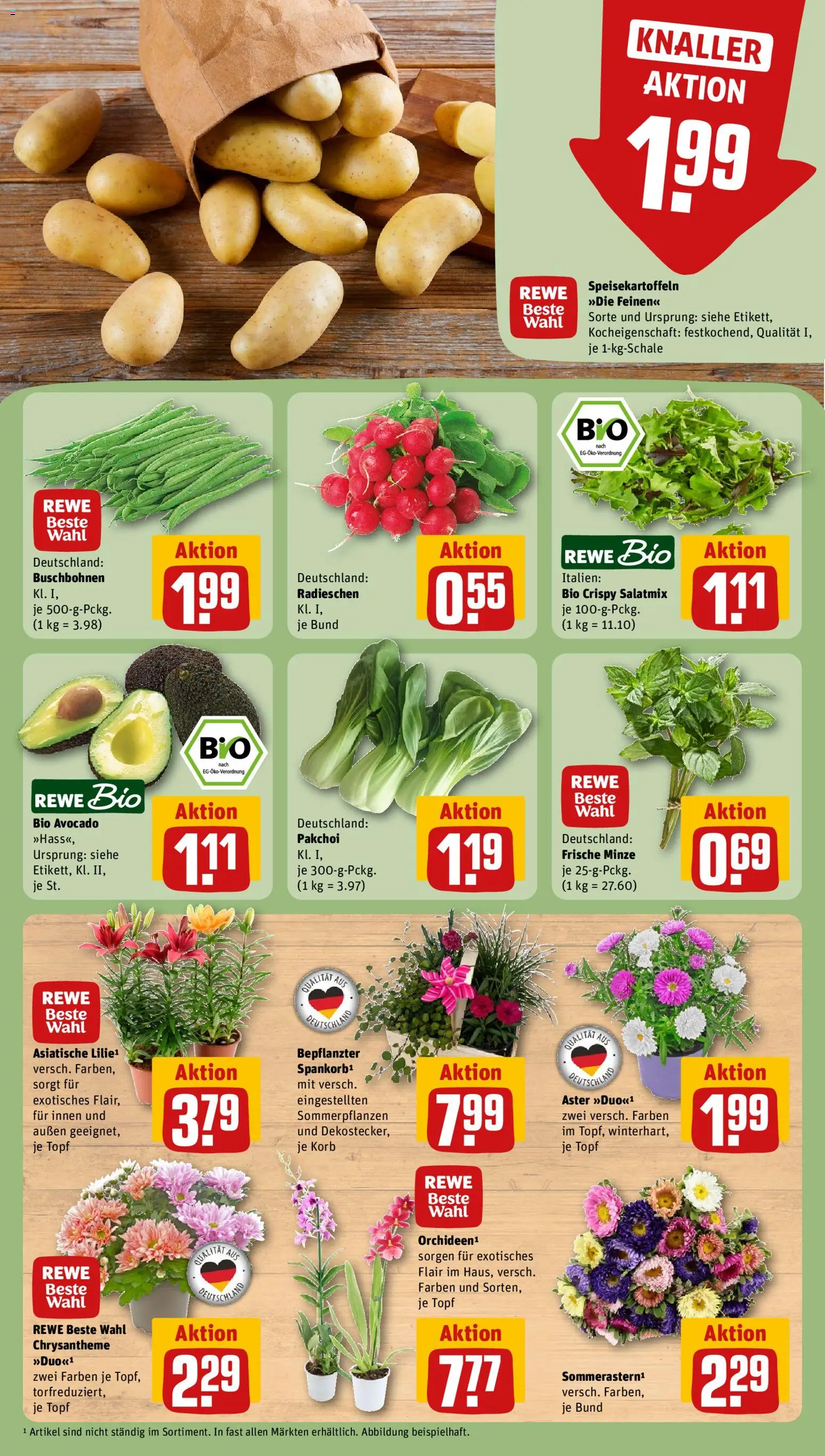 Rewe Prospekt – gültig ab 03.08.2026 | Seite: 7