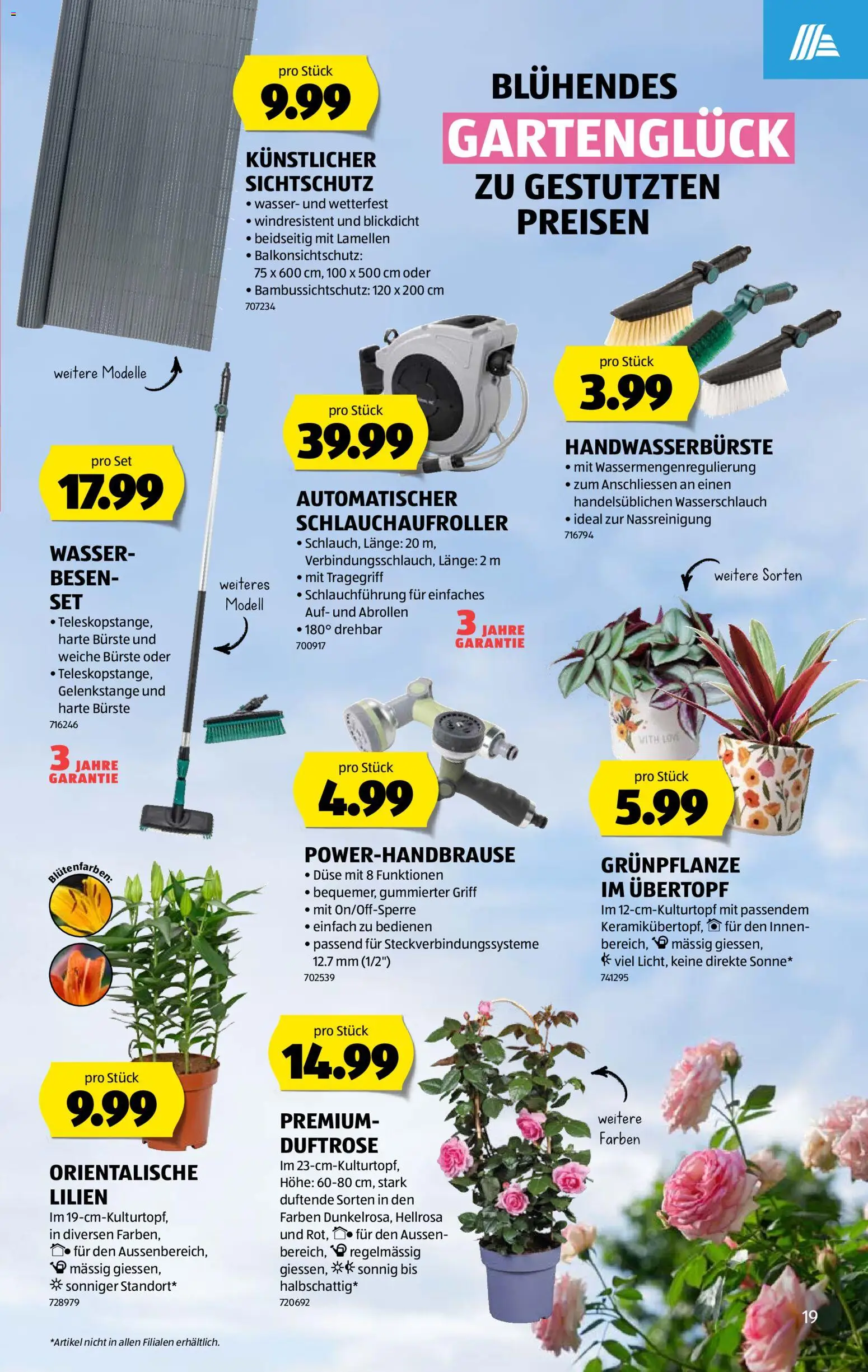 Aldi aktionen – gültig ab 04.06.2026 | Seite: 19 | Produkte: Bürste, Wasser