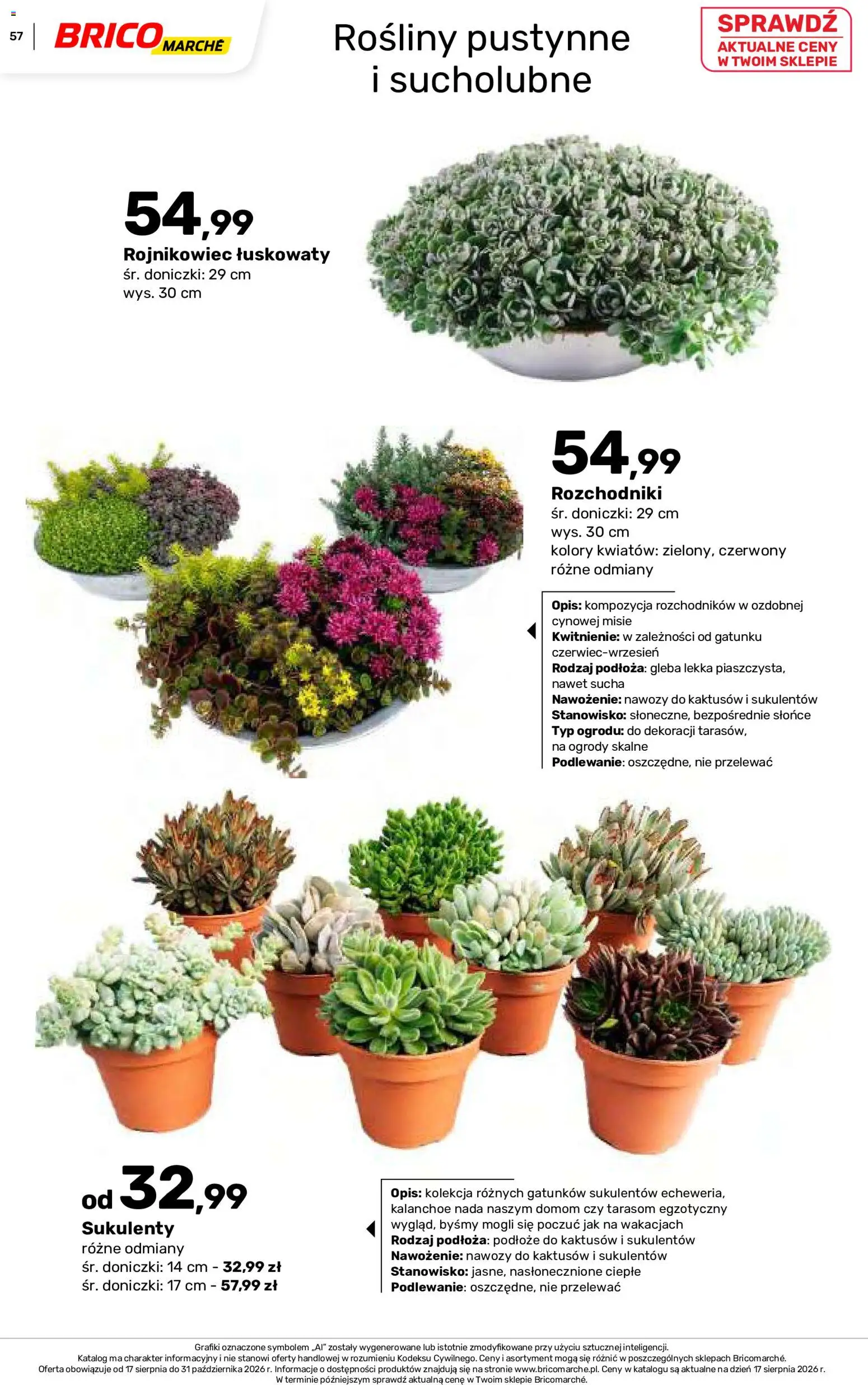 Brico Marché gazetka - Jesienne Inspiracje od 17.08.2026 | Strona: 57 | Produkty: Podłoże, Rosliny, Kalanchoe, Sukulenty
