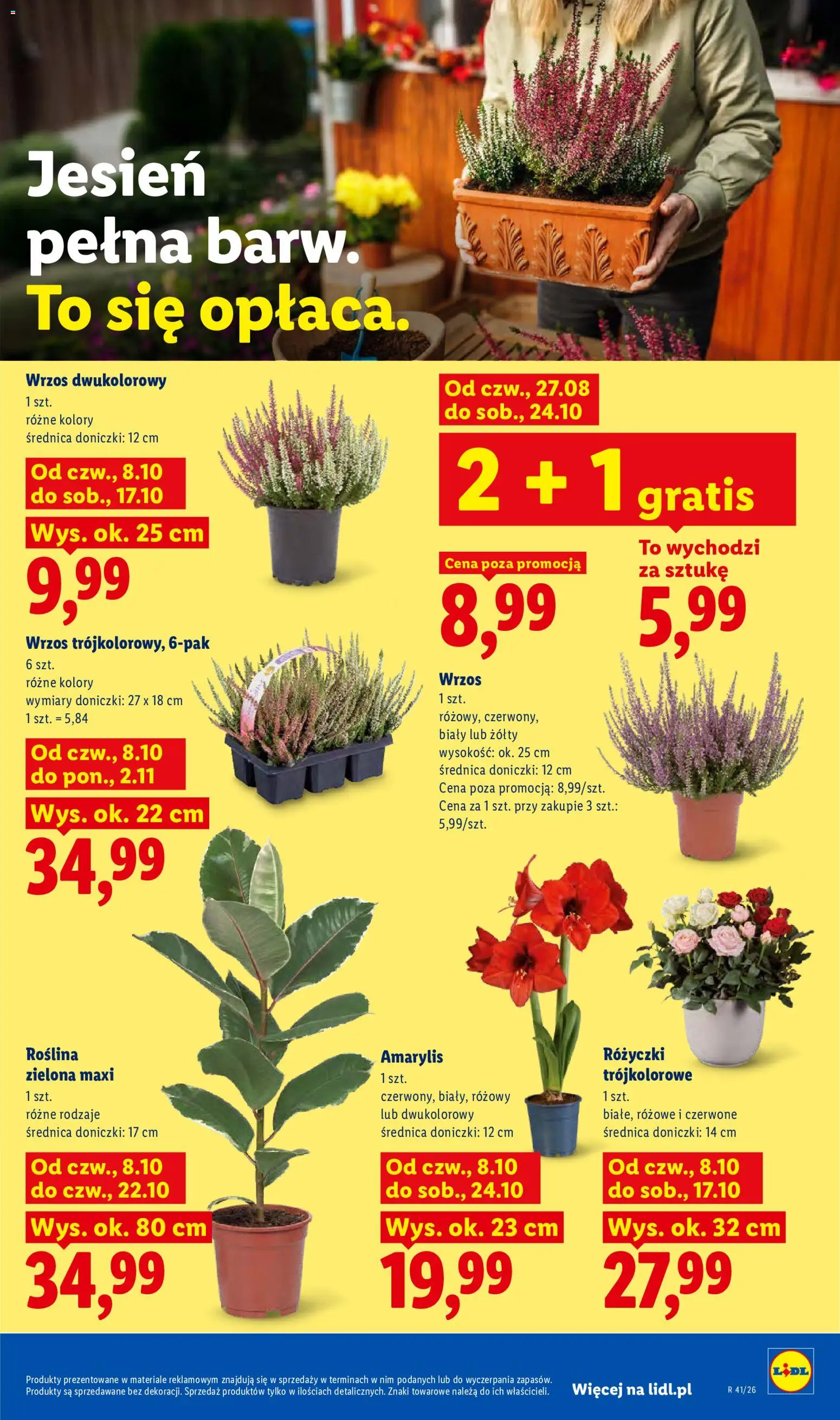 Lidl Polsko leták od 08.10.2026 | Strana: 85