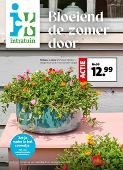 Intratuin folder - Voorbeeld van een folder van Intratuin, geldig van 08.06.2026
