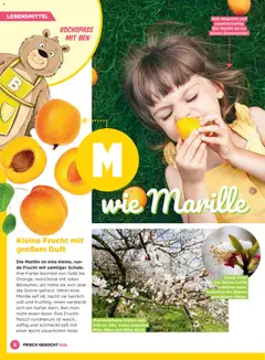 Billa Frisch Gekocht Kids ab 01.06.2026 gültig | Seite: 6