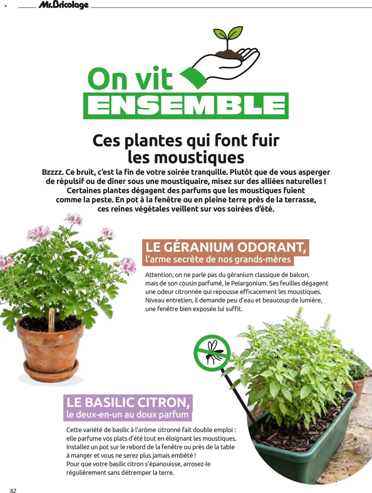{H1} | Page: 82 | Produits: Parfums, Parfum, Mais, Géranium