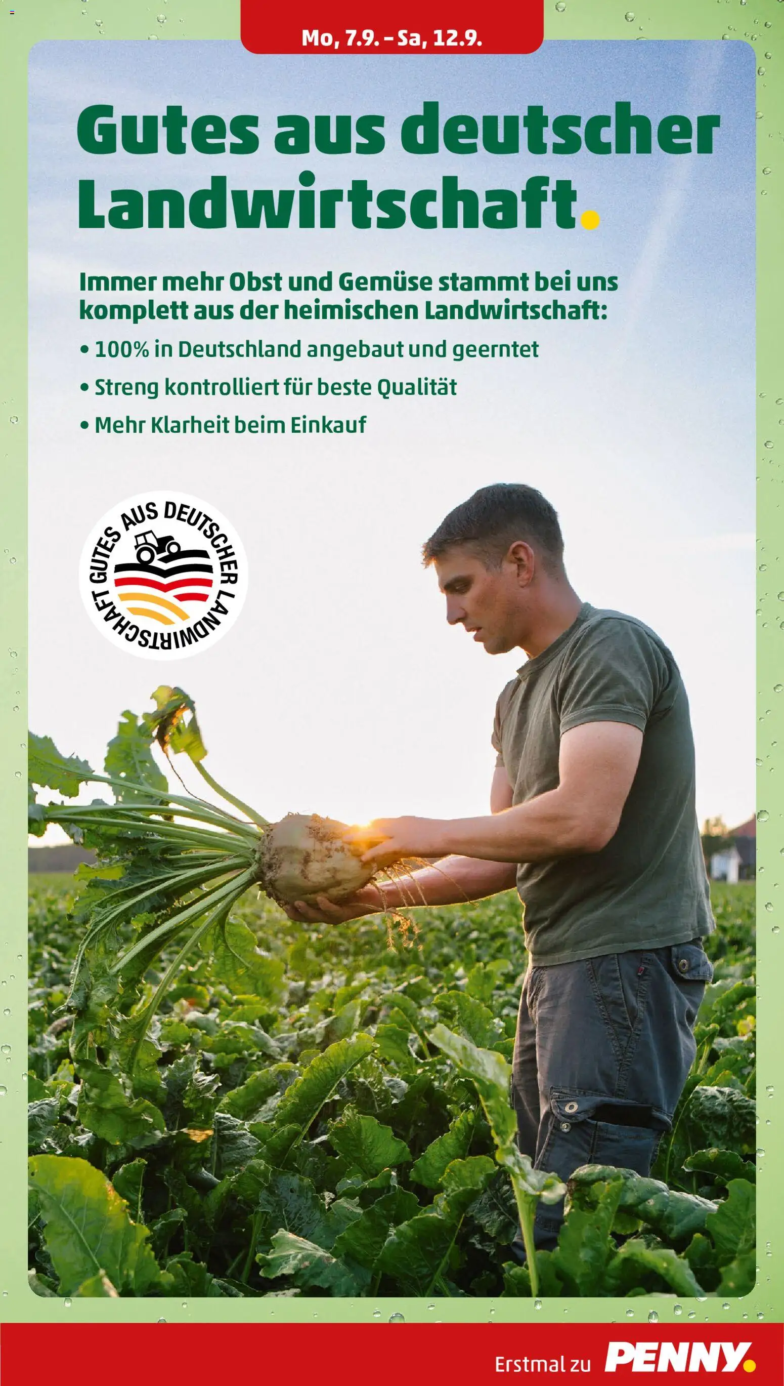 Penny Prospekt – gültig ab 07.09.2026 | Seite: 5