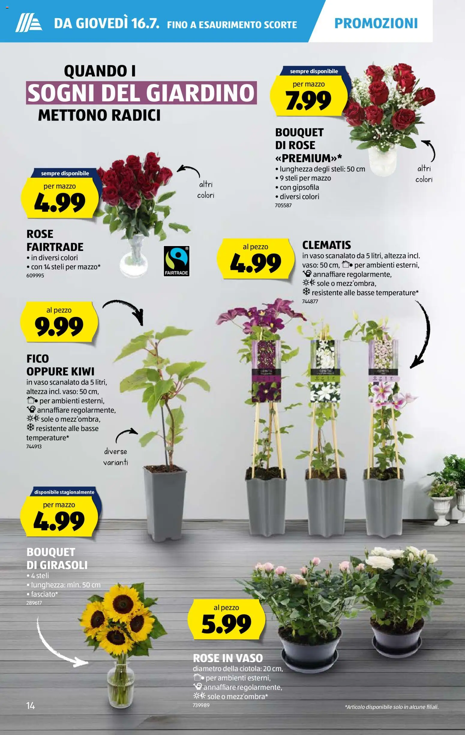 Aldi aktionen IT – gültig ab 16.07.2026 | Seite: 14 | Produkte: Kiwi