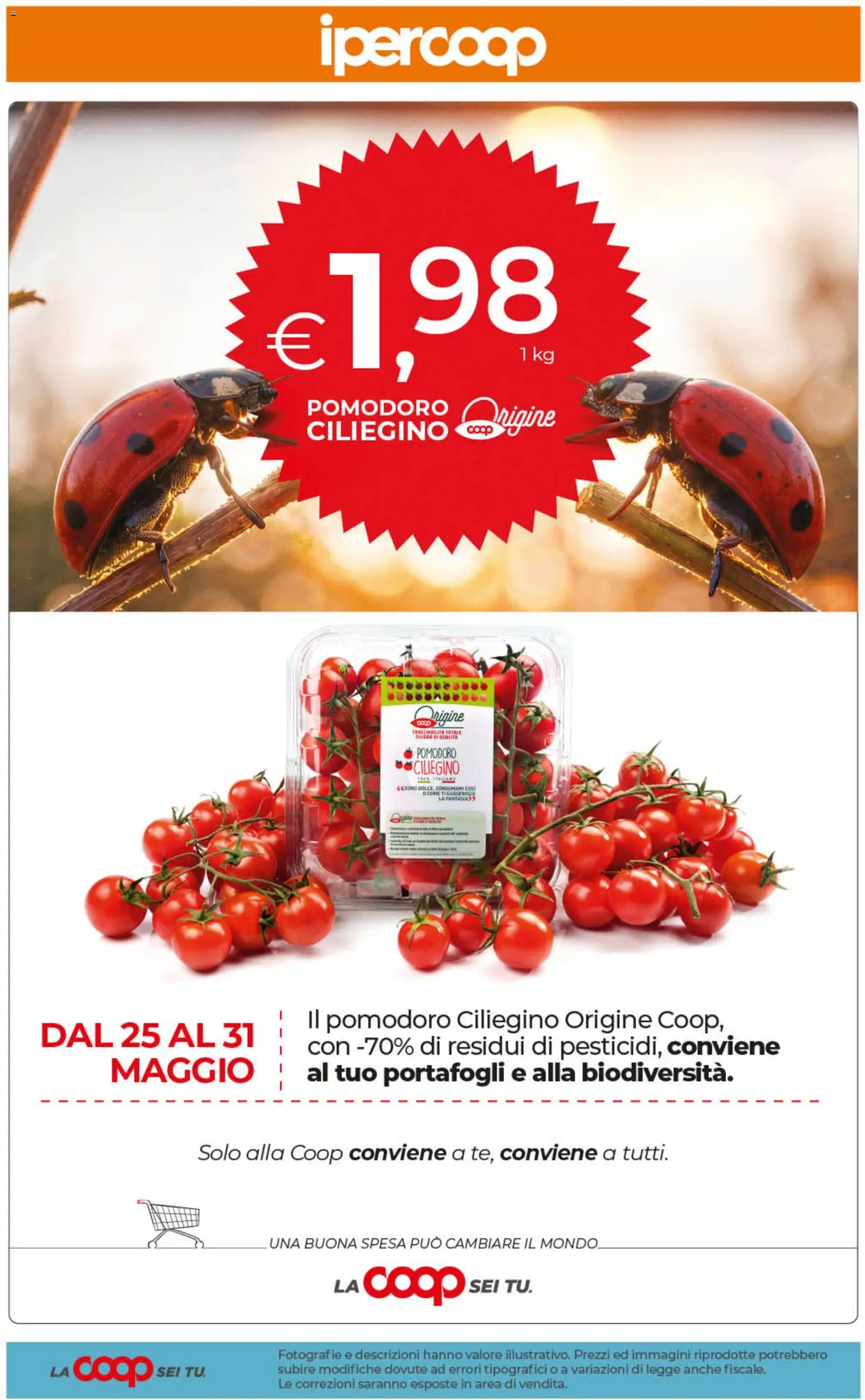 Volantino Ipercoop del 29.05.2026 | Pagina: 61 | Prodotti: Pomodoro