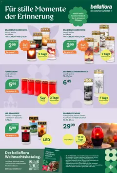 bellaflora Flugblatt ab 22.10.2026 gültig | Seite: 4