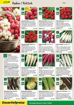 Landi ( Deaktivovane pre Letakomat )  Aktionen ab 07.01.2026 gültig | Seite: 14 | Produkte: Salat