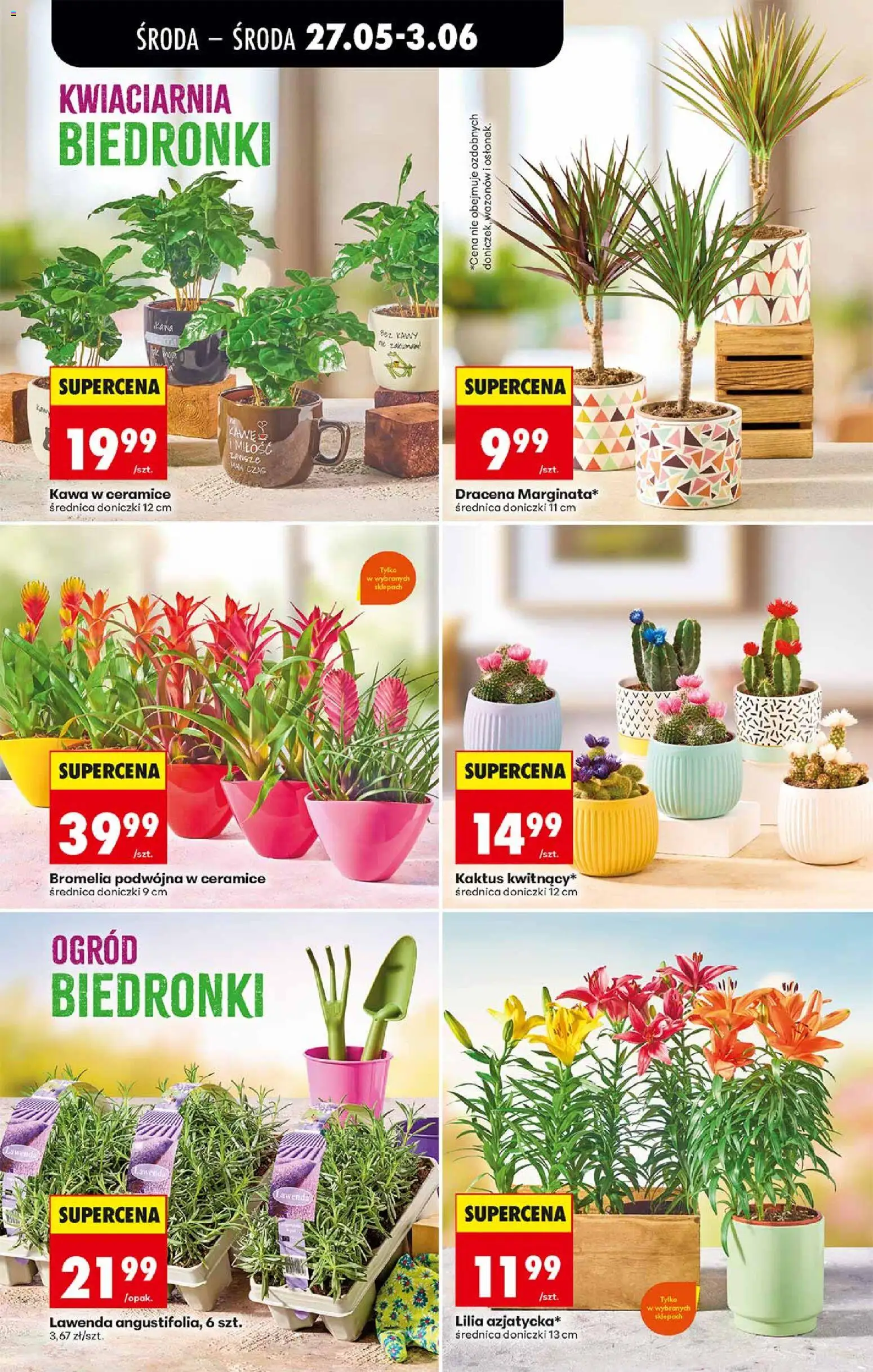 Biedronka gazetka od środy od 27.05.2026 | Strona: 68 | Produkty: Doniczki, Kawa