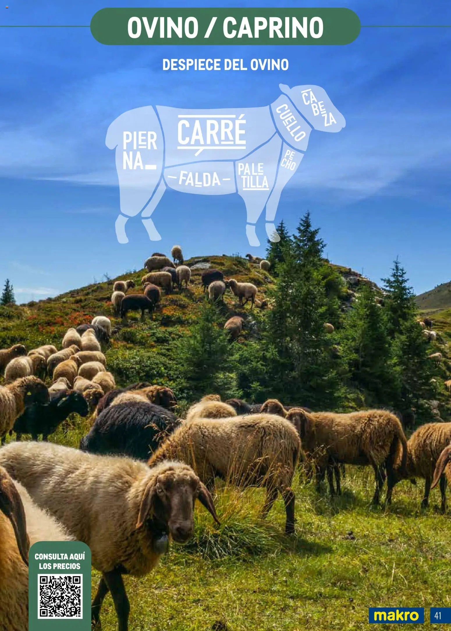 Makro Expertos en carnes │ válido desde el 07/09/2026 | Página: 41
