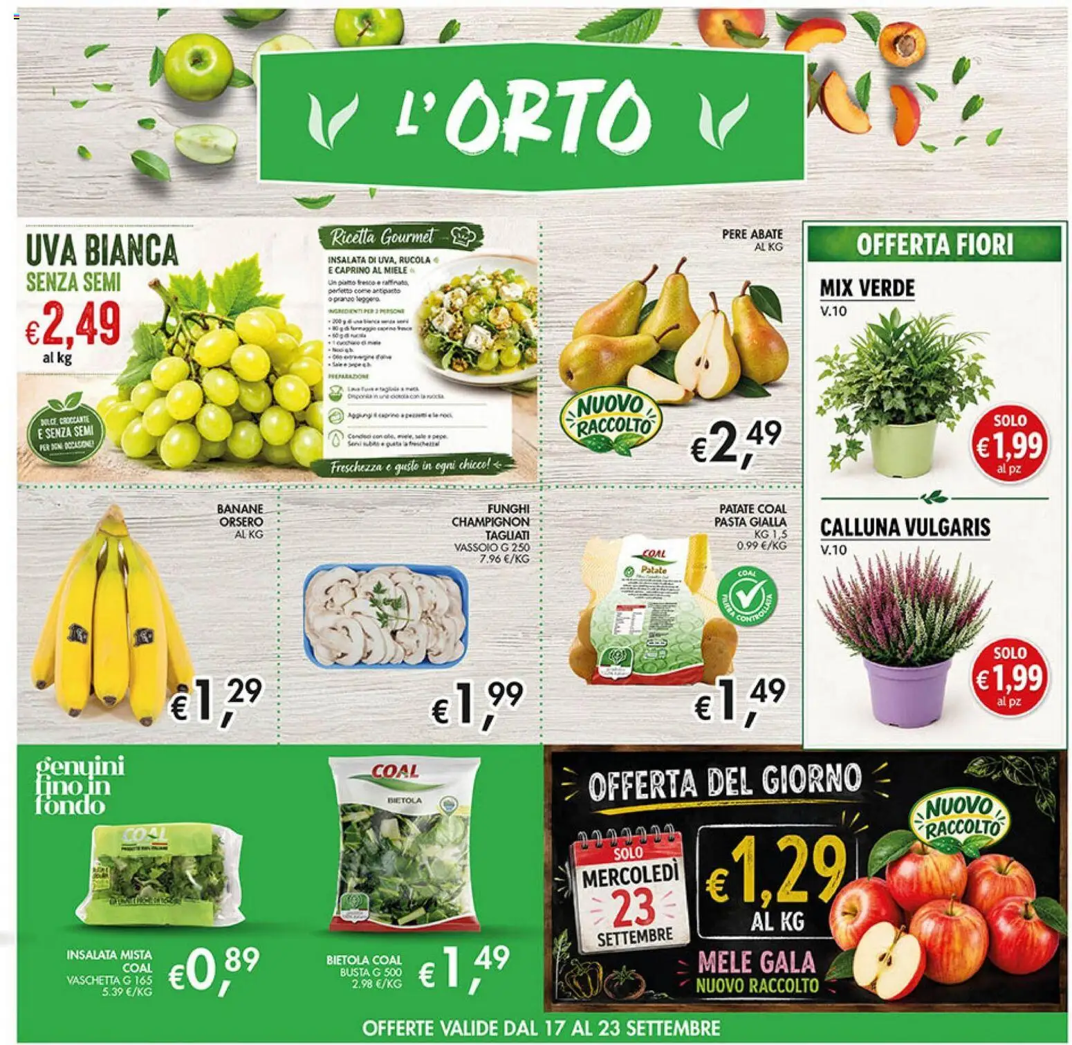 Volantino Coal del 10/09/2026 | Pagina: 7 | Prodotti: Banane, Insalata, Fiori, Vassoio