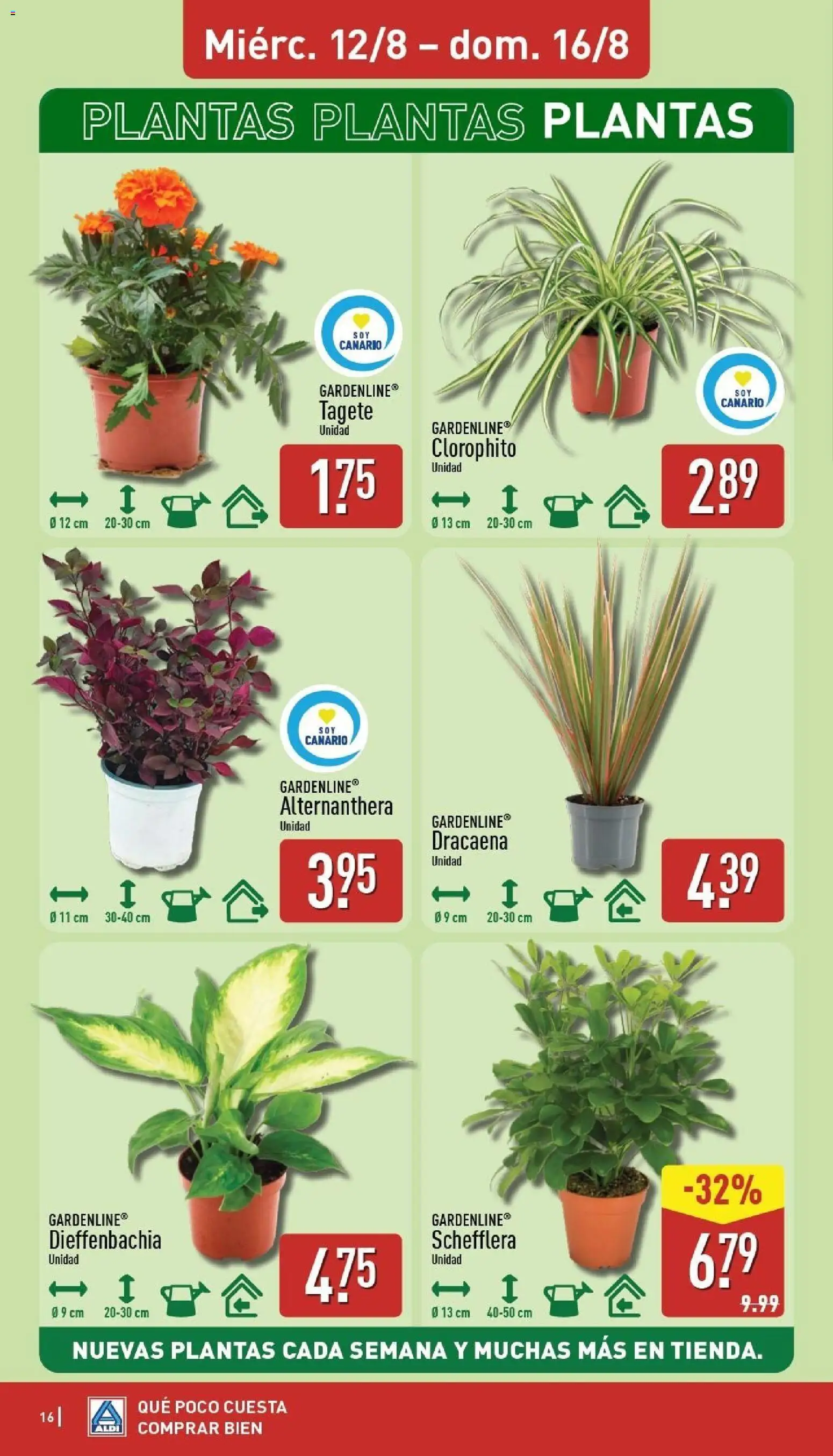 Aldi folleto Canarias │ válido desde el 10/08/2026 | Página: 16