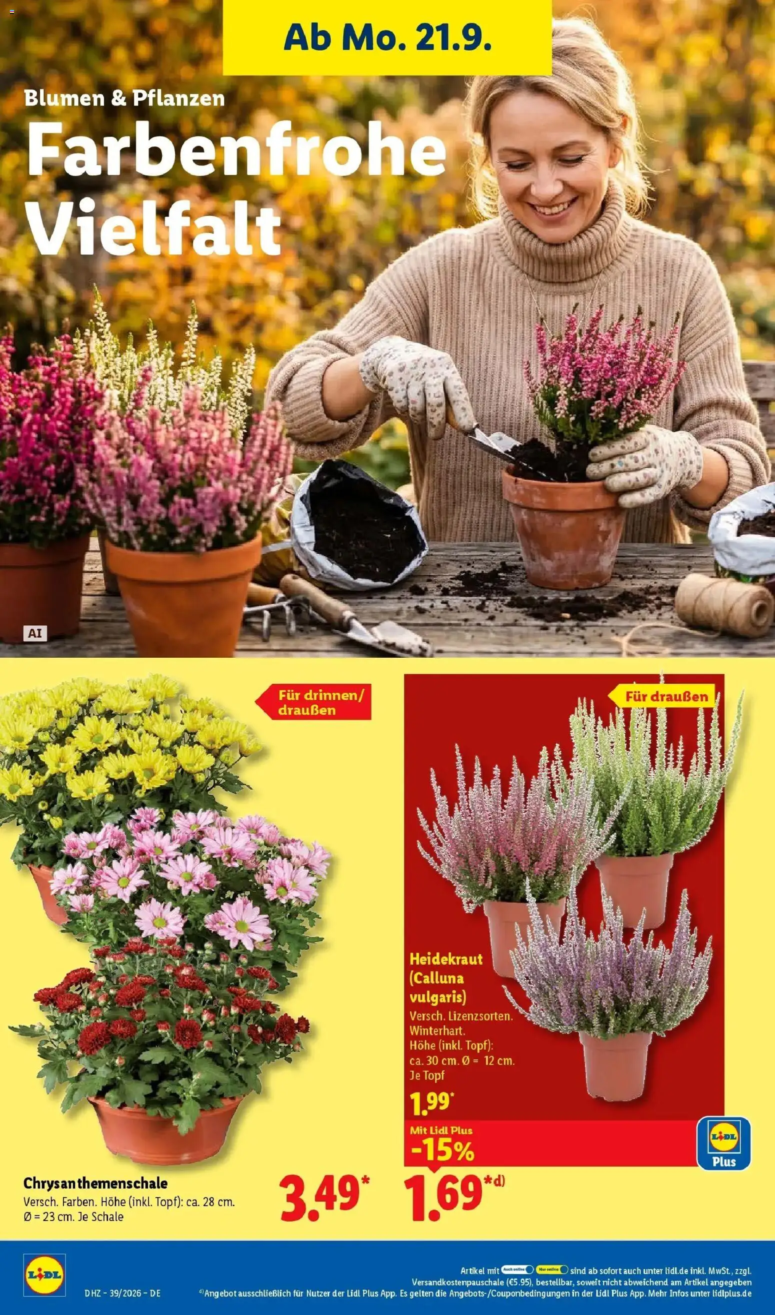 Lidl Prospekt Hof-innenstadt (ab 21.09.2026) zum Blättern » Angebote | Seite: 20 | Produkte: Blumen