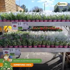 Pogląd oferty "Hipper gazetka" - ważna od 01.05.2026