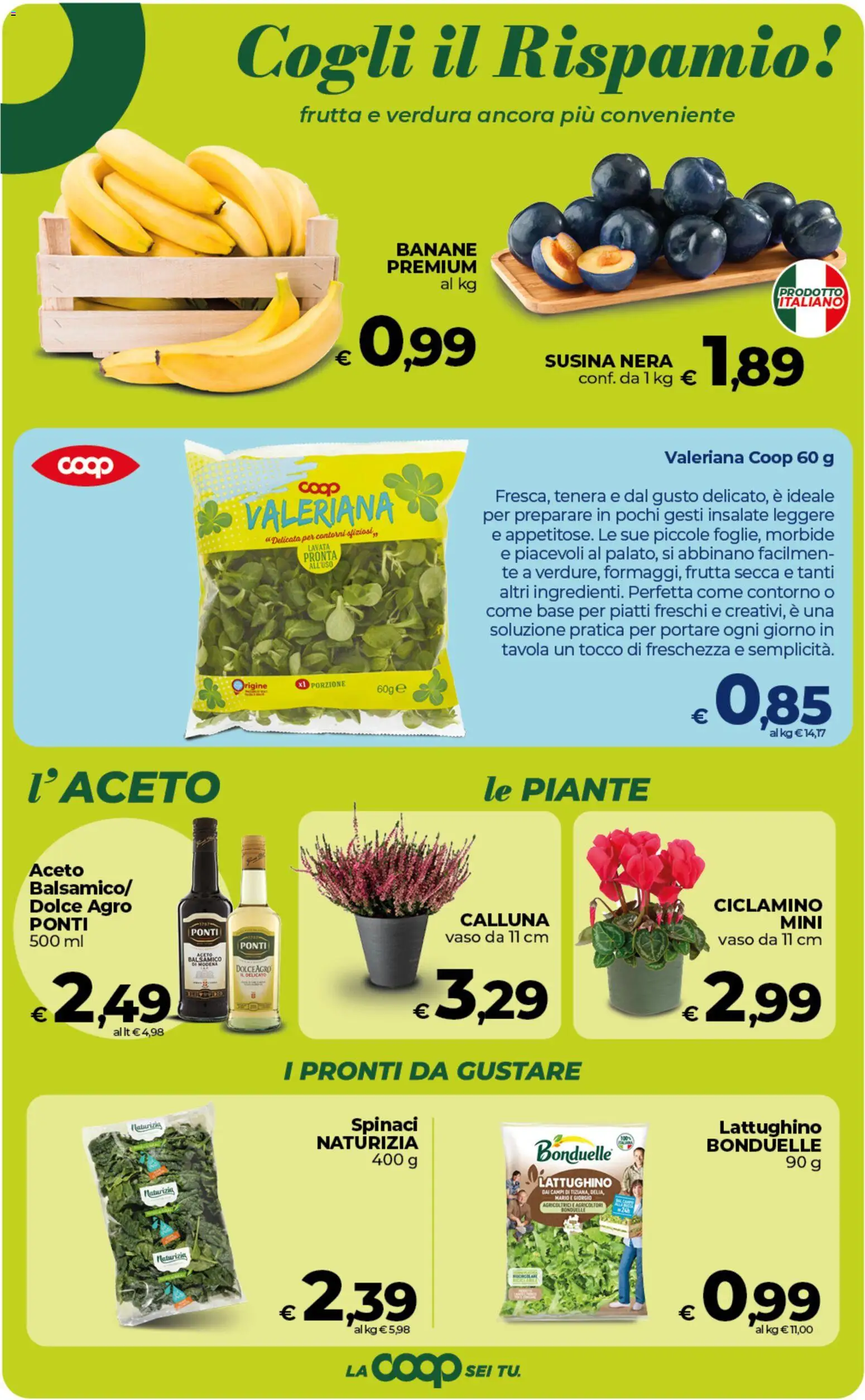 Volantino COOP del 02/10/2026 | Pagina: 9 | Prodotti: Valeriana, Tè, Piatti, Aceto