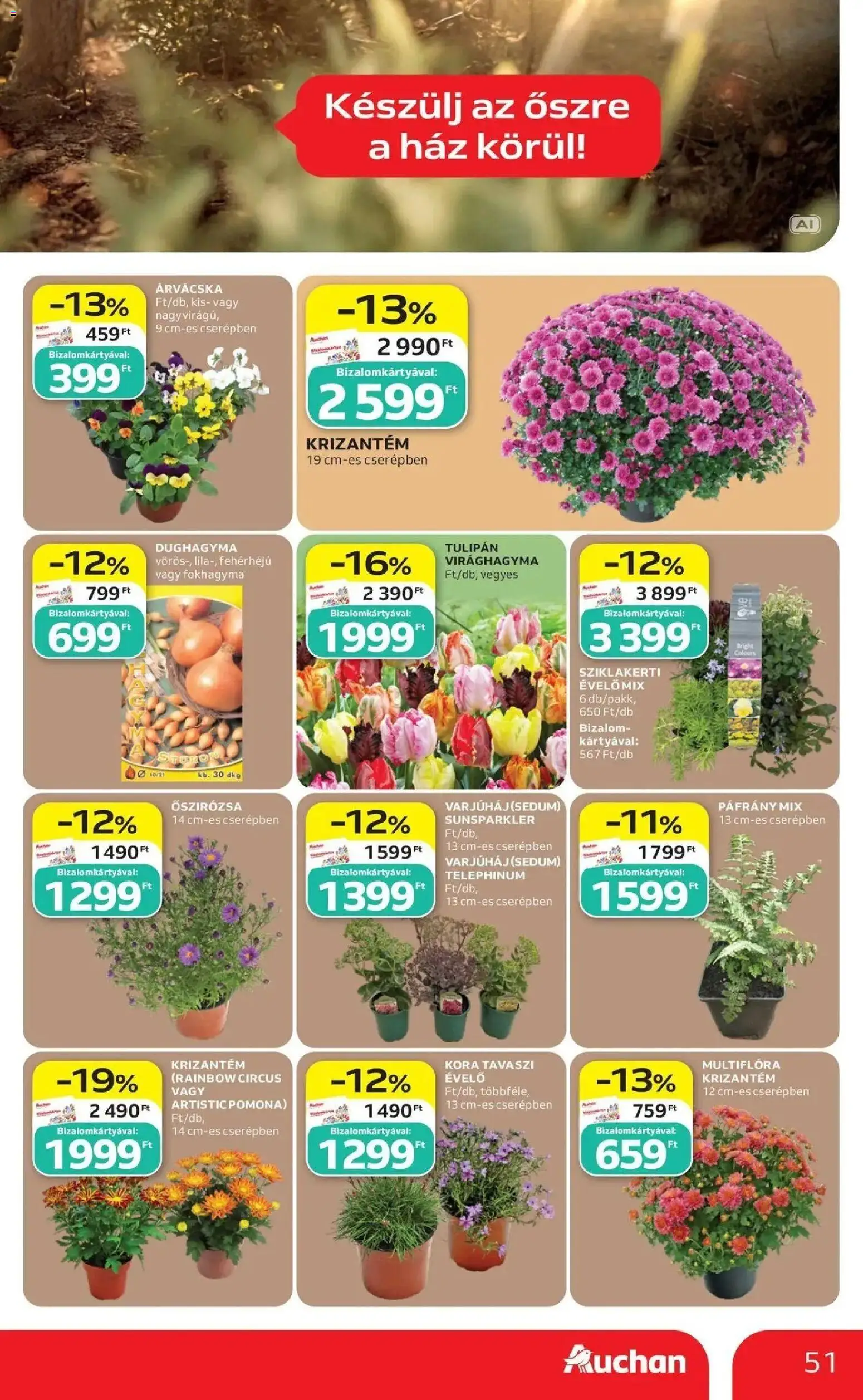 Auchan akciós újság Szolnok - 2026.09.17. -tól/töl > akció, lapozható szórólap 🛍️ | Oldal: 51 | Termékek: Fokhagyma, Árvácska, Virághagyma, Tulipán