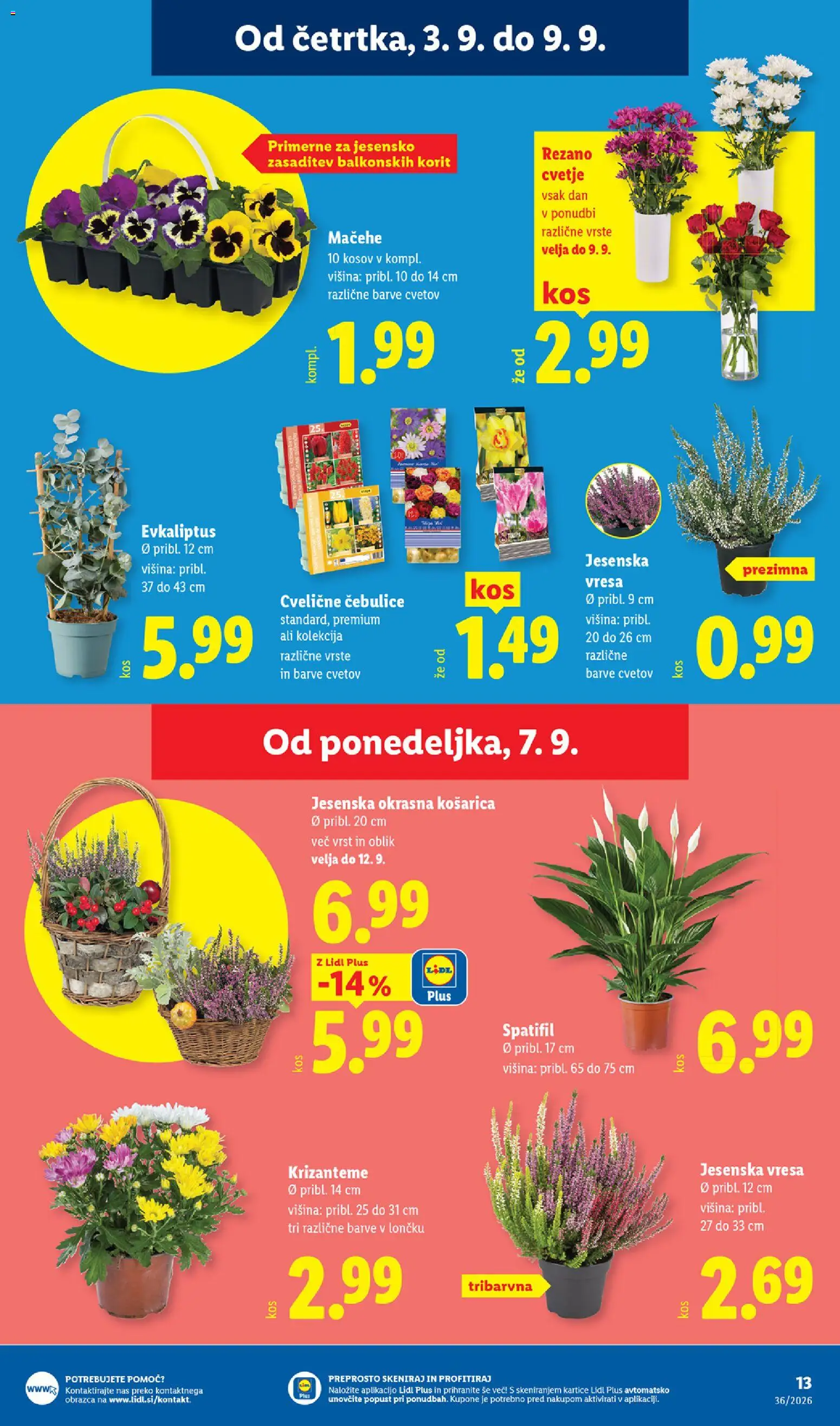 Novi Lidl katalog ponudbe – veljaven od 03.09.2026 | Stran: 23