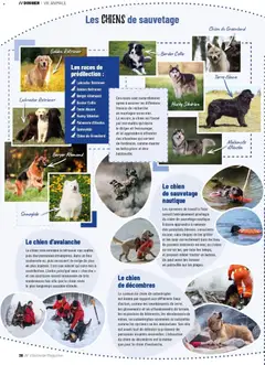 VillaVerde - Prévisualisation de VillaVerde catalogue animalerie valide à partir de 28.05.2026 | Page: 38 | Produits: Magazine