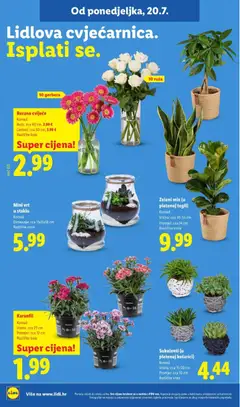 Lidl Katalog - Pregled kataloga iz trgovine Lidl, vrijedi od 20.07.2026 | Stranica: 50