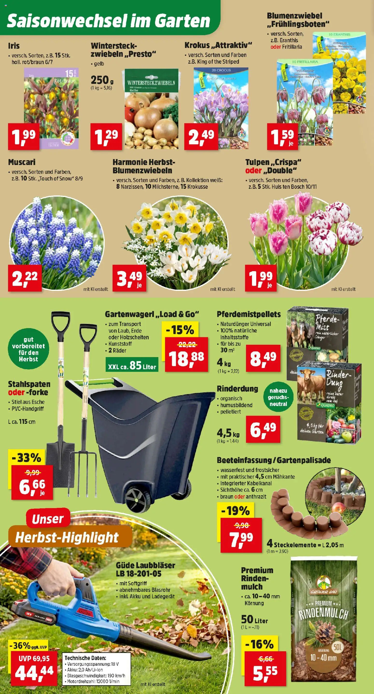 Thomas Philipps Flugblatt gültig ab 07.09.2026 | Seite: 4 | Produkte: Zwiebeln