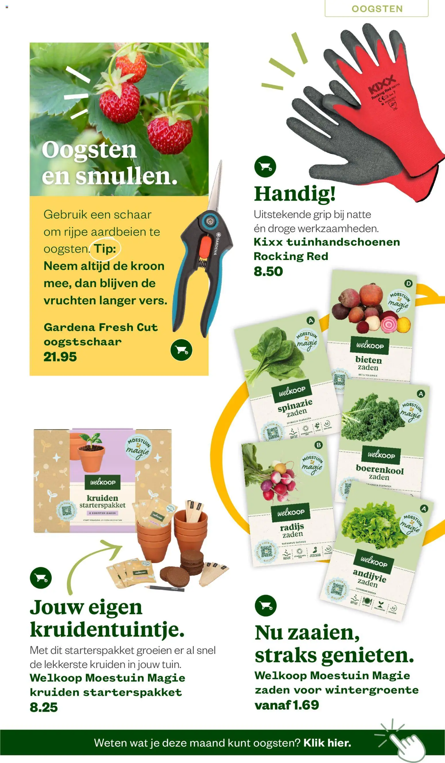 {H1} | Pagina: 5 | Producten: Spinazie, Schaar, Boerenkool, Aardbeien