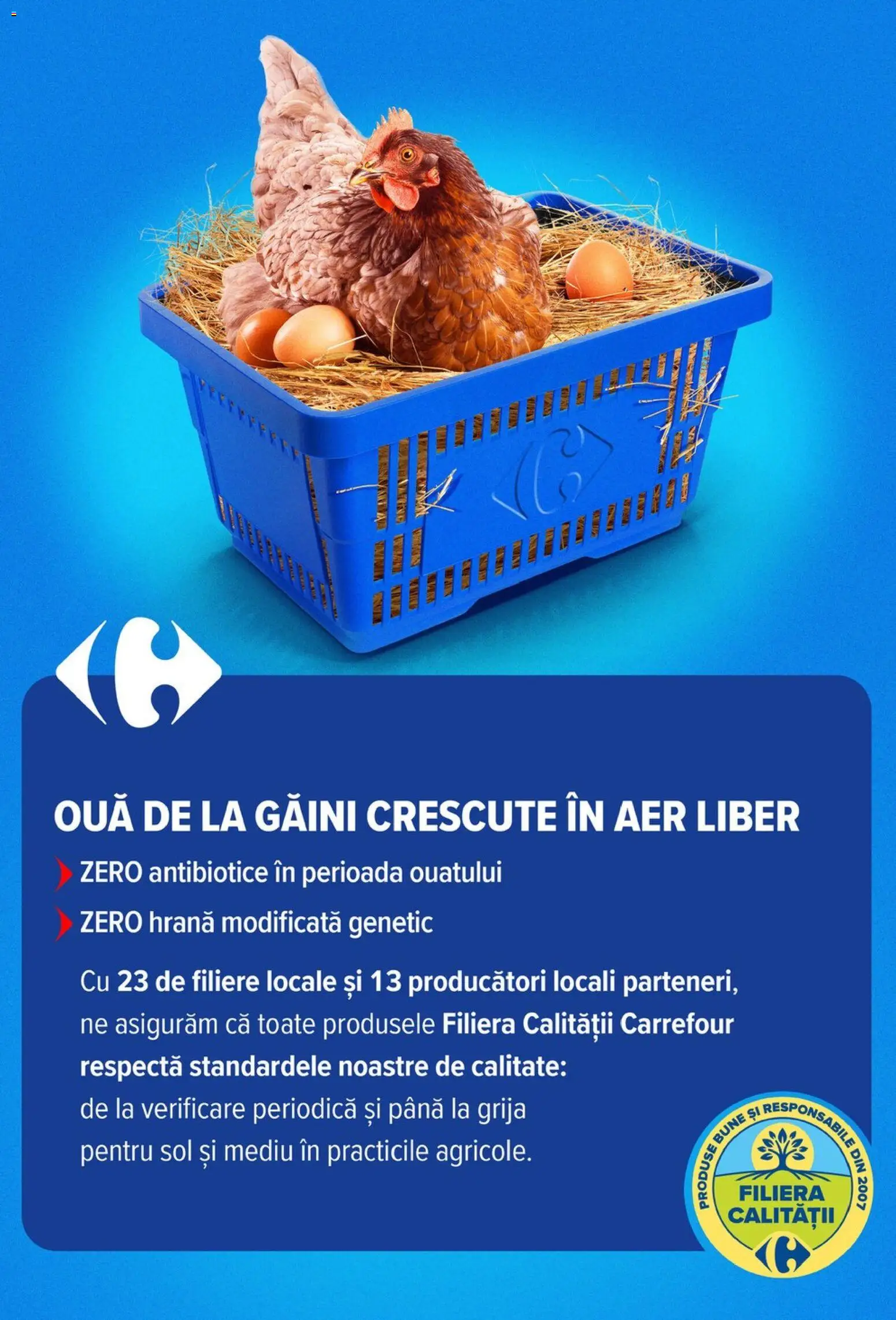Noul catalog Carrefour – valabil de la 01.07.2026 | Pagină: 43