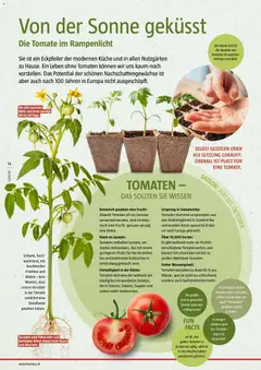 Bauhaus Reiche Ernte ab 25.05.2026 gültig | Seite: 14