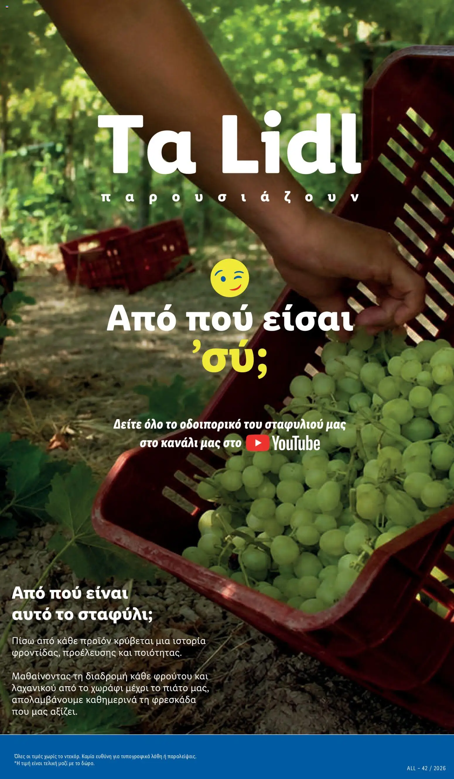 Lidl Φυλλάδιο - σε ισχύ από 15/10/2026 | Σελίδα: 11