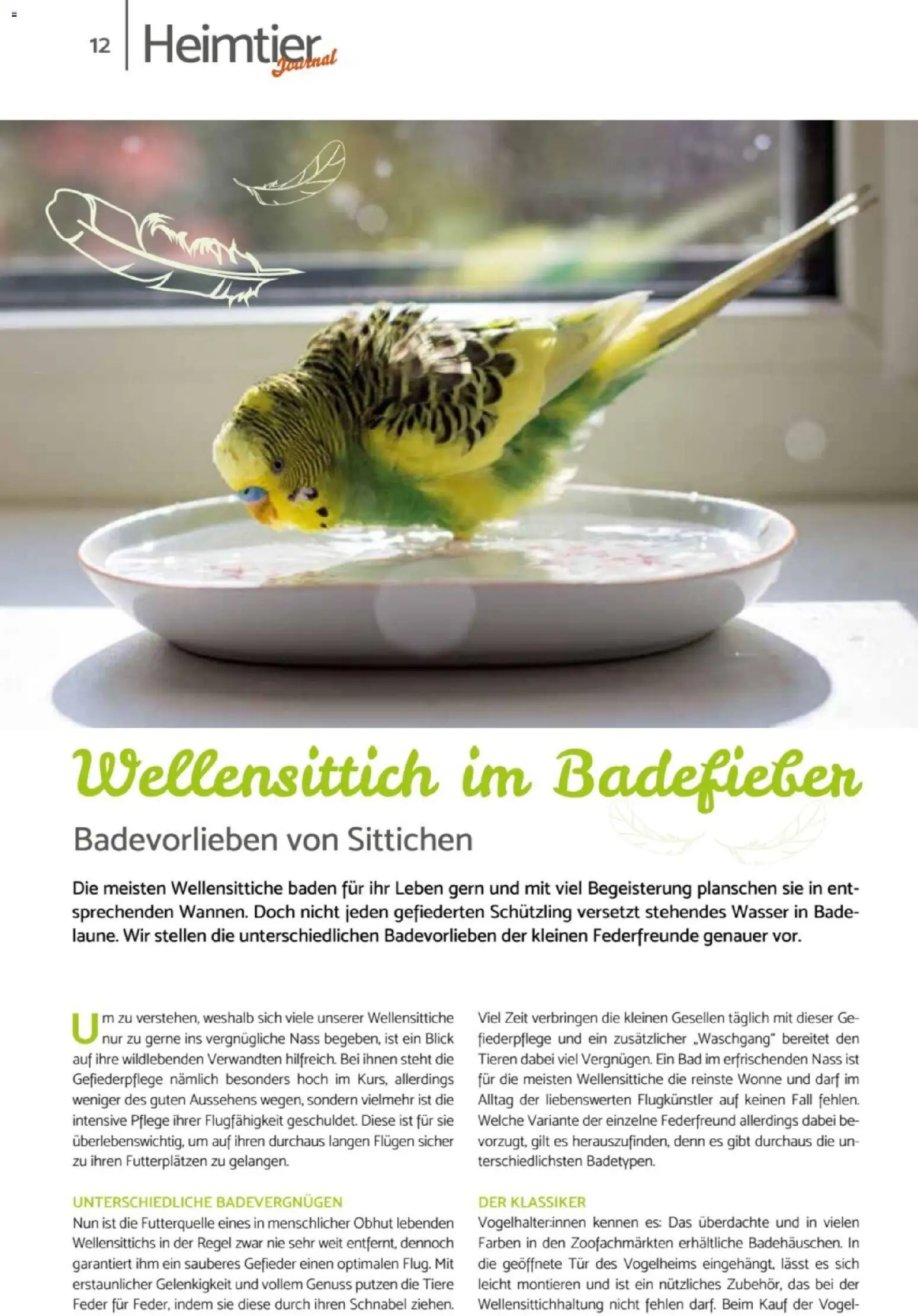 zookauf Heimtier Journal – gültig ab 01.07.2026 | Seite: 12 | Produkte: Bad, Tür, Wasser