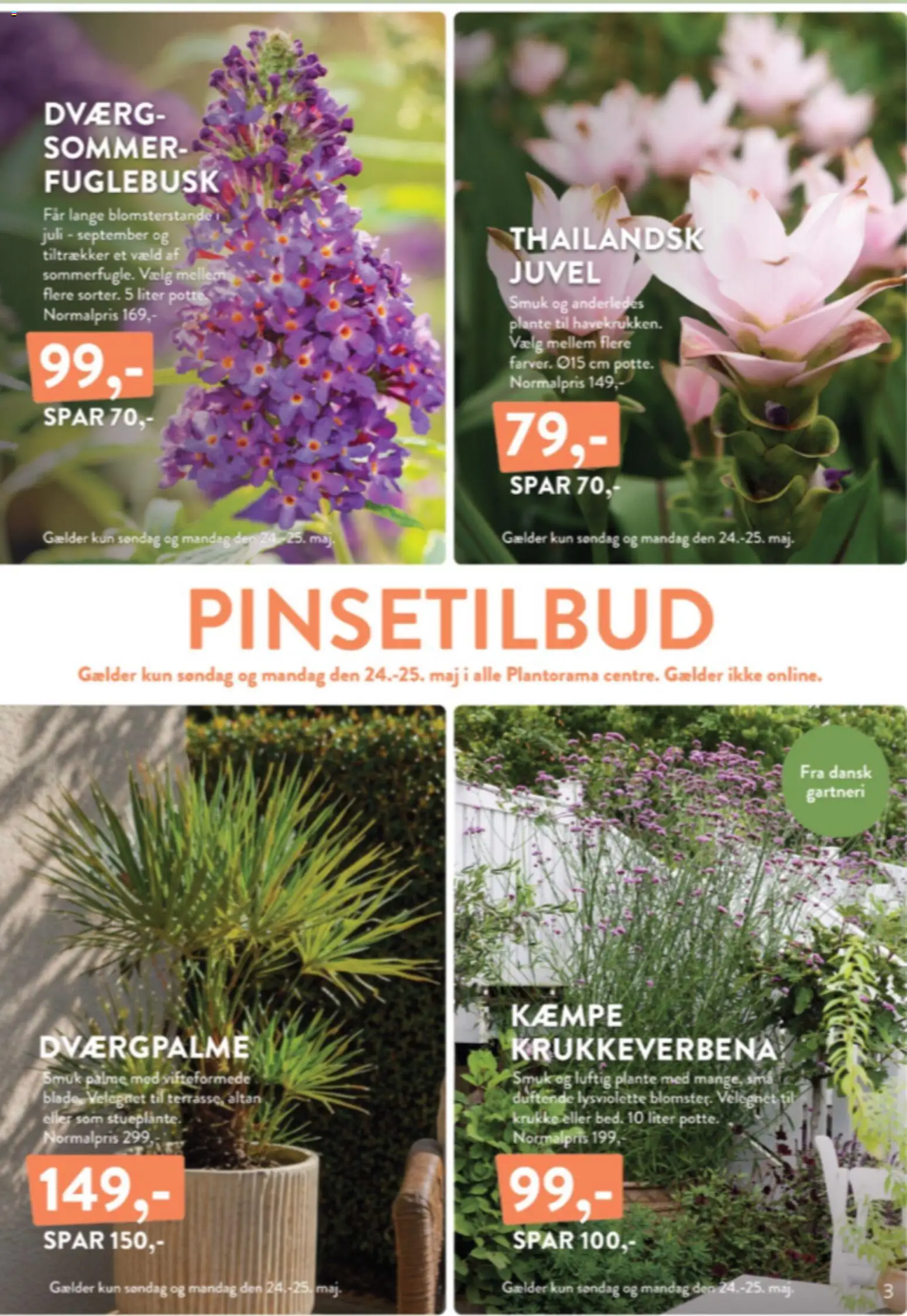 Plantorama tilbudsavis – gyldig fra 22.05.2026 | Side: 3 | Produkter: Krukke, Søm
