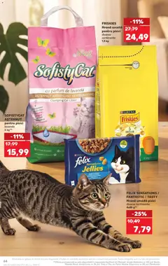 Kaufland RO akciós újság - amely érvényes a következő dátumtól: 20.05.2026 | Oldal: 64 | Termékek: Parfüm