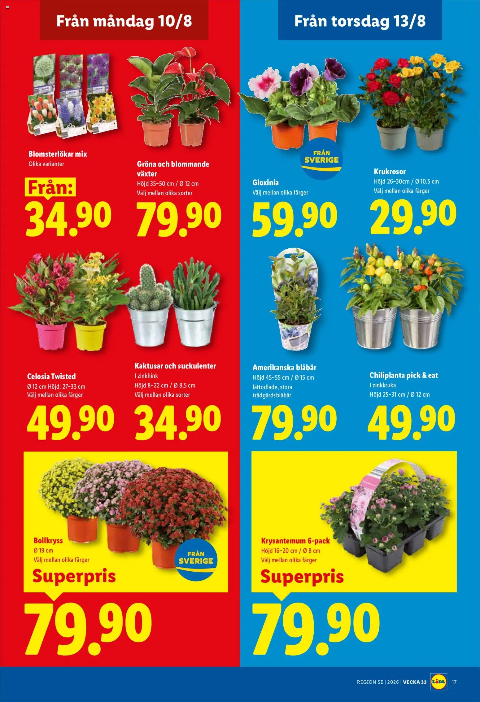 Lidl reklamblad aktuell från 10/08/2026 | Sida: 20 | Produkter: Chili, Blåbär