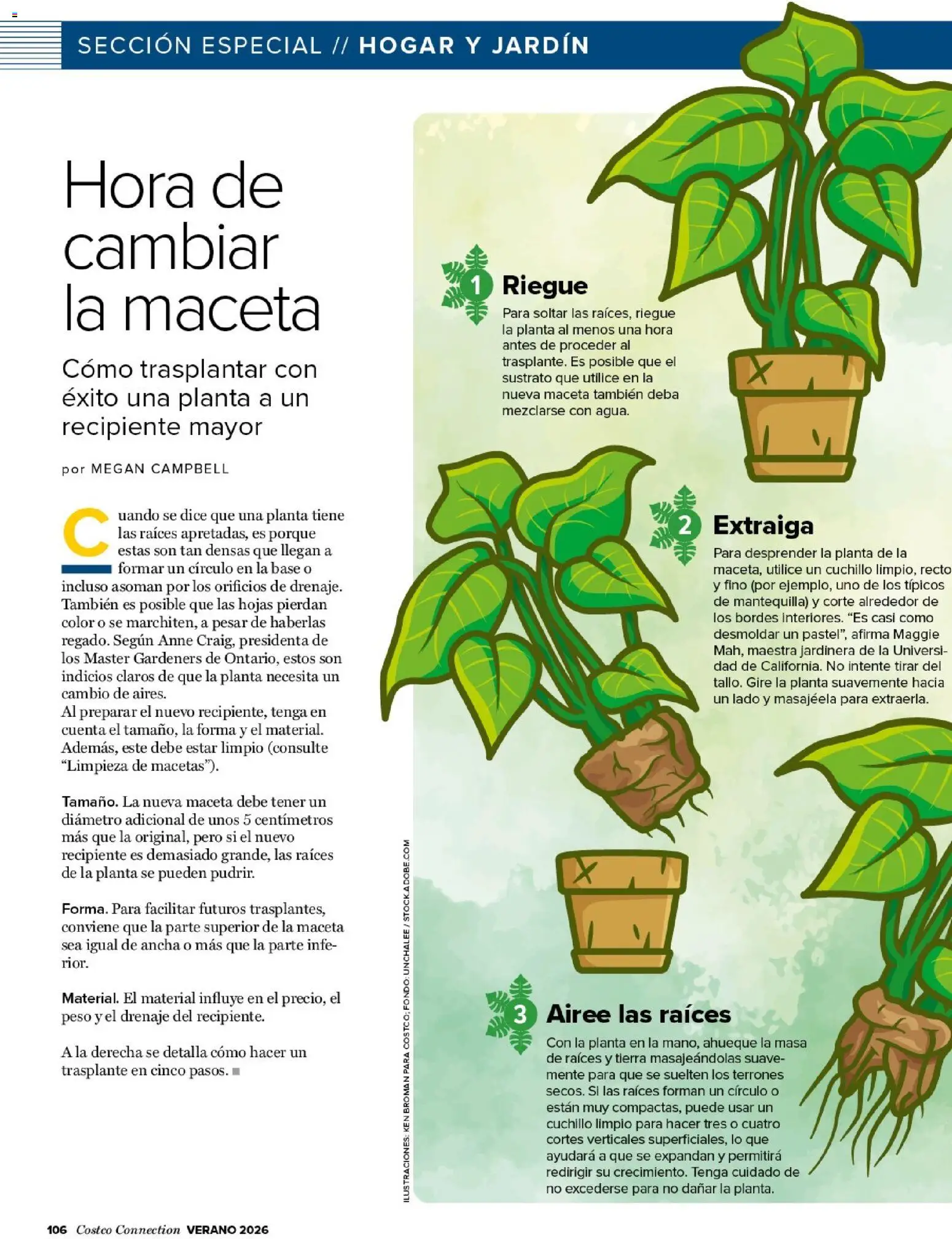 Costco catálogo │ válido desde el 15.06.2026 | Página: 106 | Productos: Jardinera, Peso, Συσκευή ροής, Maceta