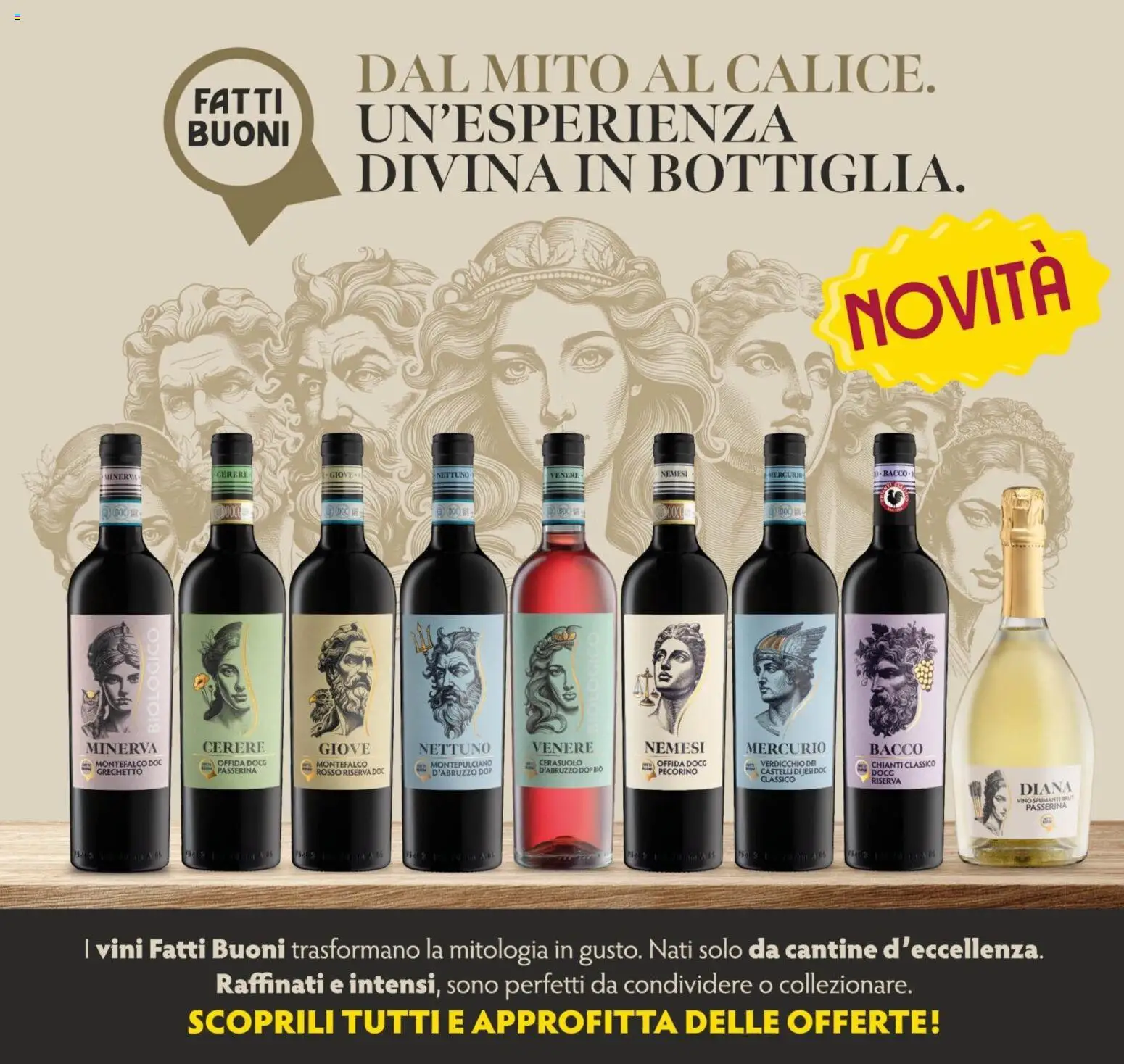 Volantino Oasi del 14/09/2026 | Pagina: 15 | Prodotti: Vino, Spumante, Pecorino