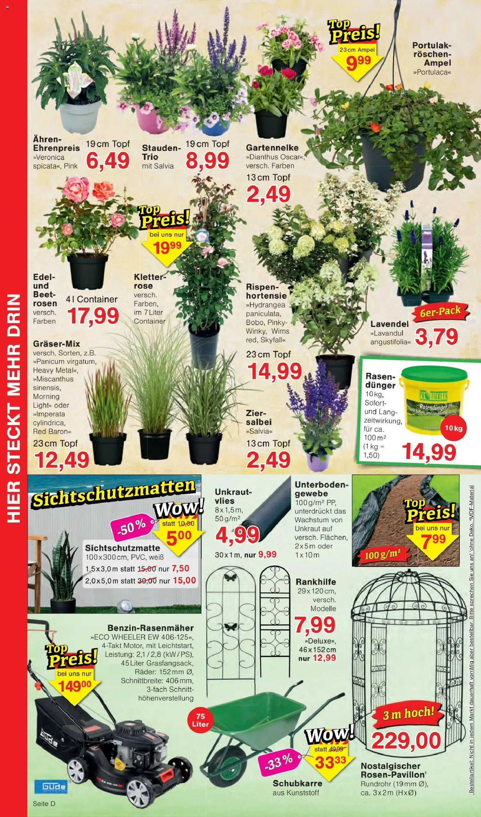 Jawoll Prospekt – gültig ab 06.07.2026 | Seite: 8 | Produkte: Hortensie, Lavendel
