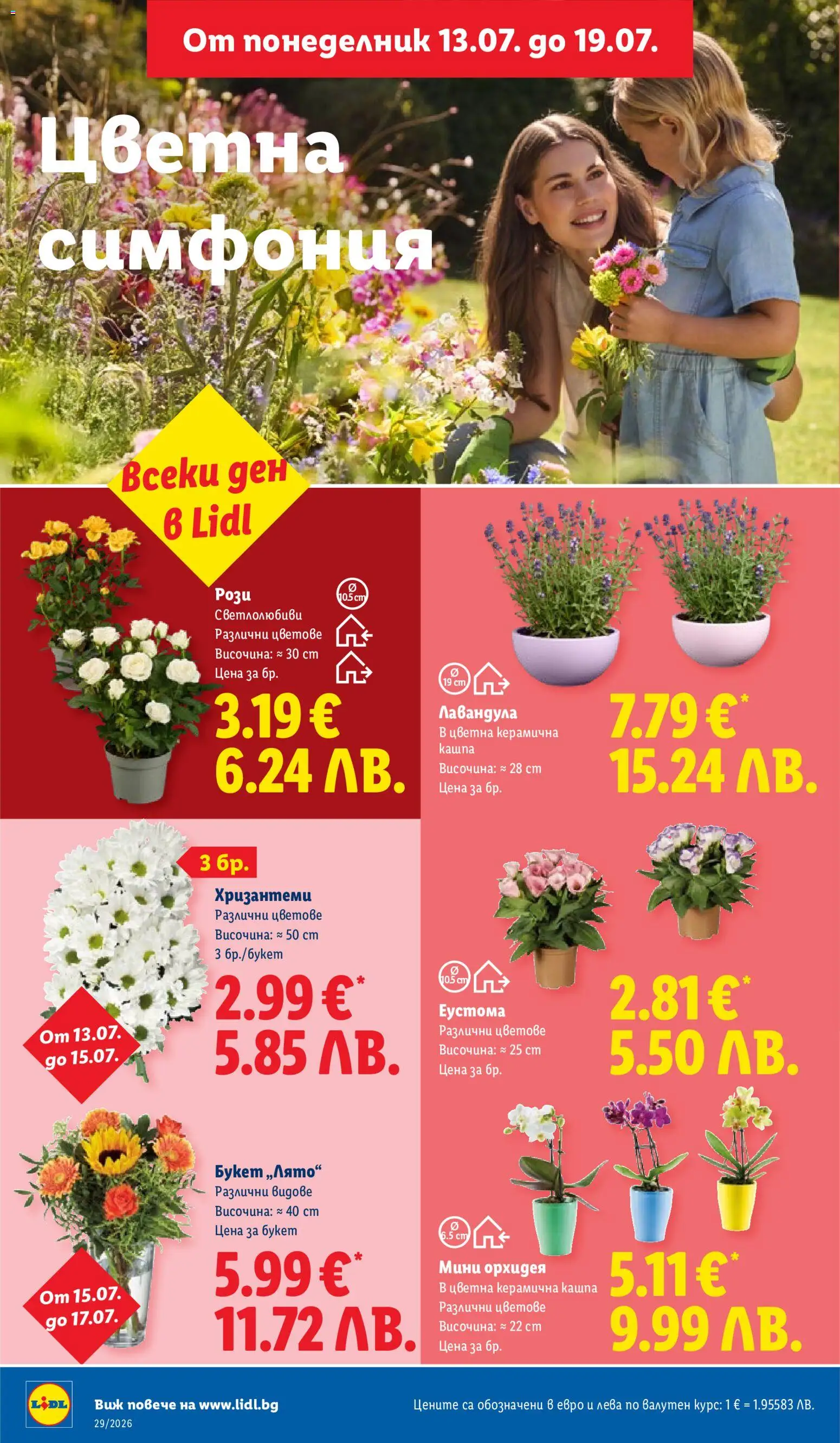 {H1} | Страница: 50 | Продукти: Кашпа, Орхидея