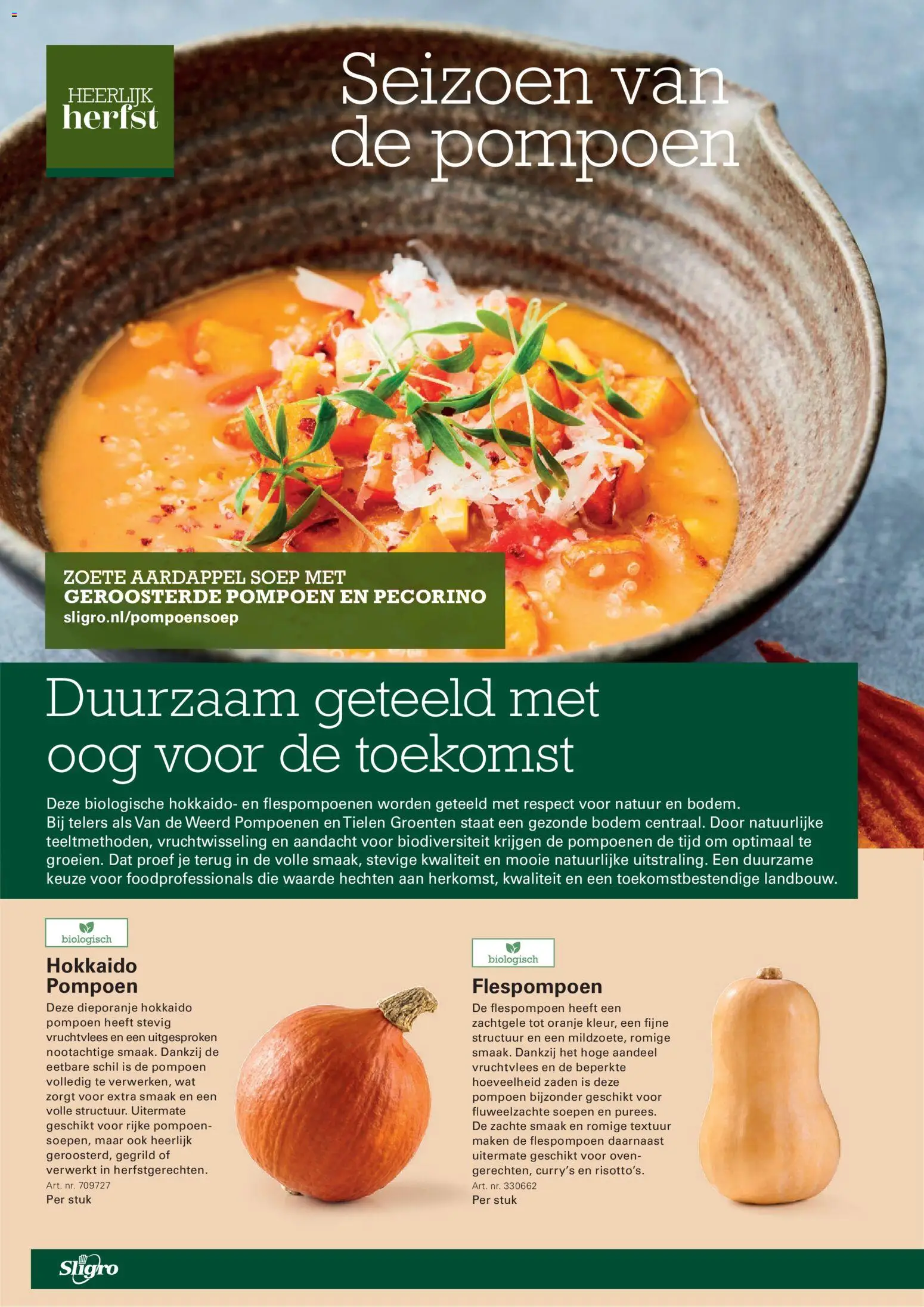 {H1} | Pagina: 22 | Producten: Flespompoen, Groenten, Pompoen, Zoete Aardappel