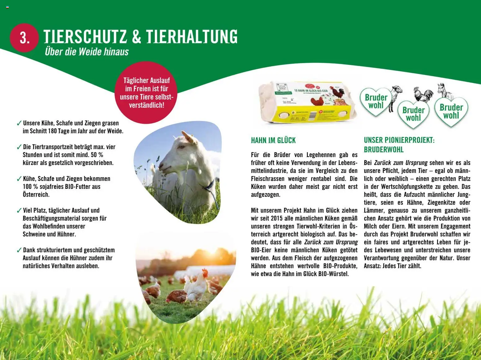 Hofer Alles über die nachhaltige Bio-Eigenmarke von HOFER. gültig ab 01.05.2026 | Seite: 8