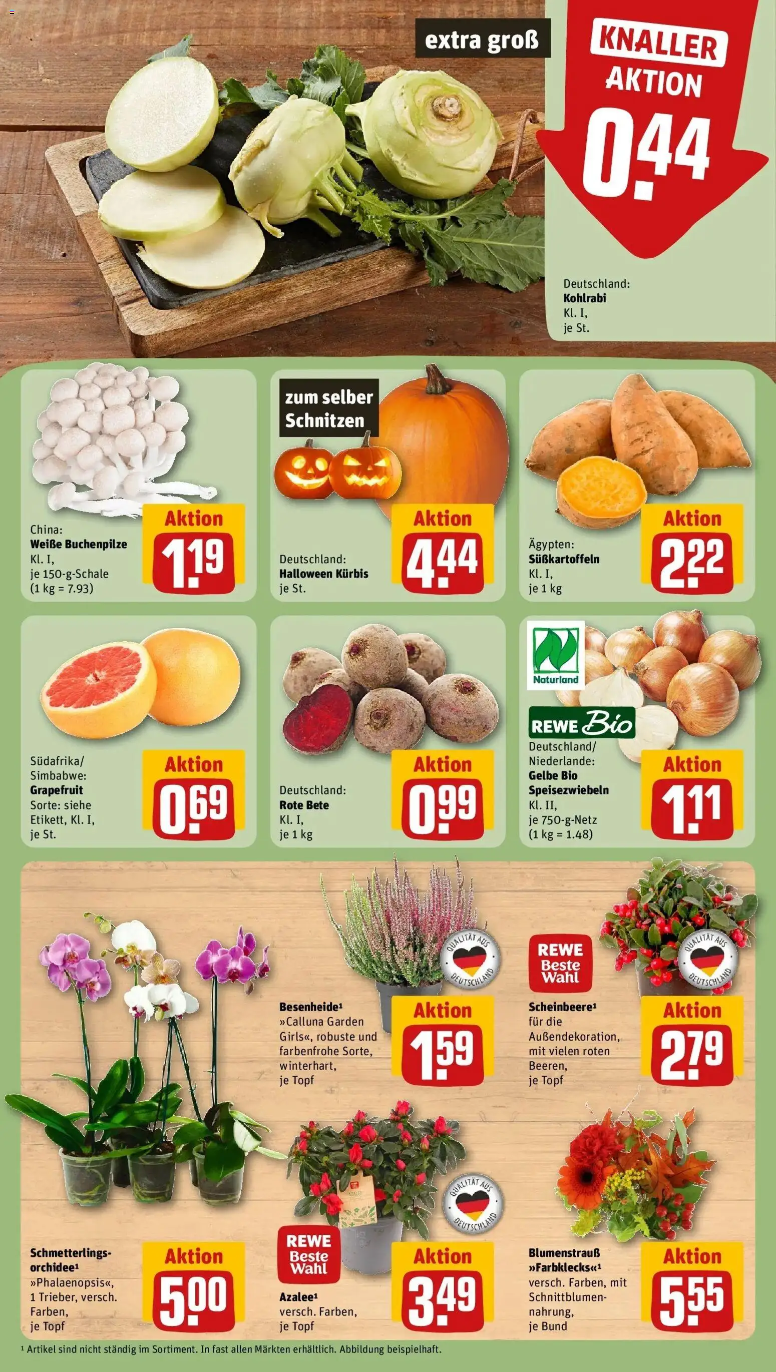 REWE Prospekt ab 12.10.2026 zum Blättern » Angebote | Seite: 5 | Produkte: Kohlrabi, Grapefruit, Kürbis