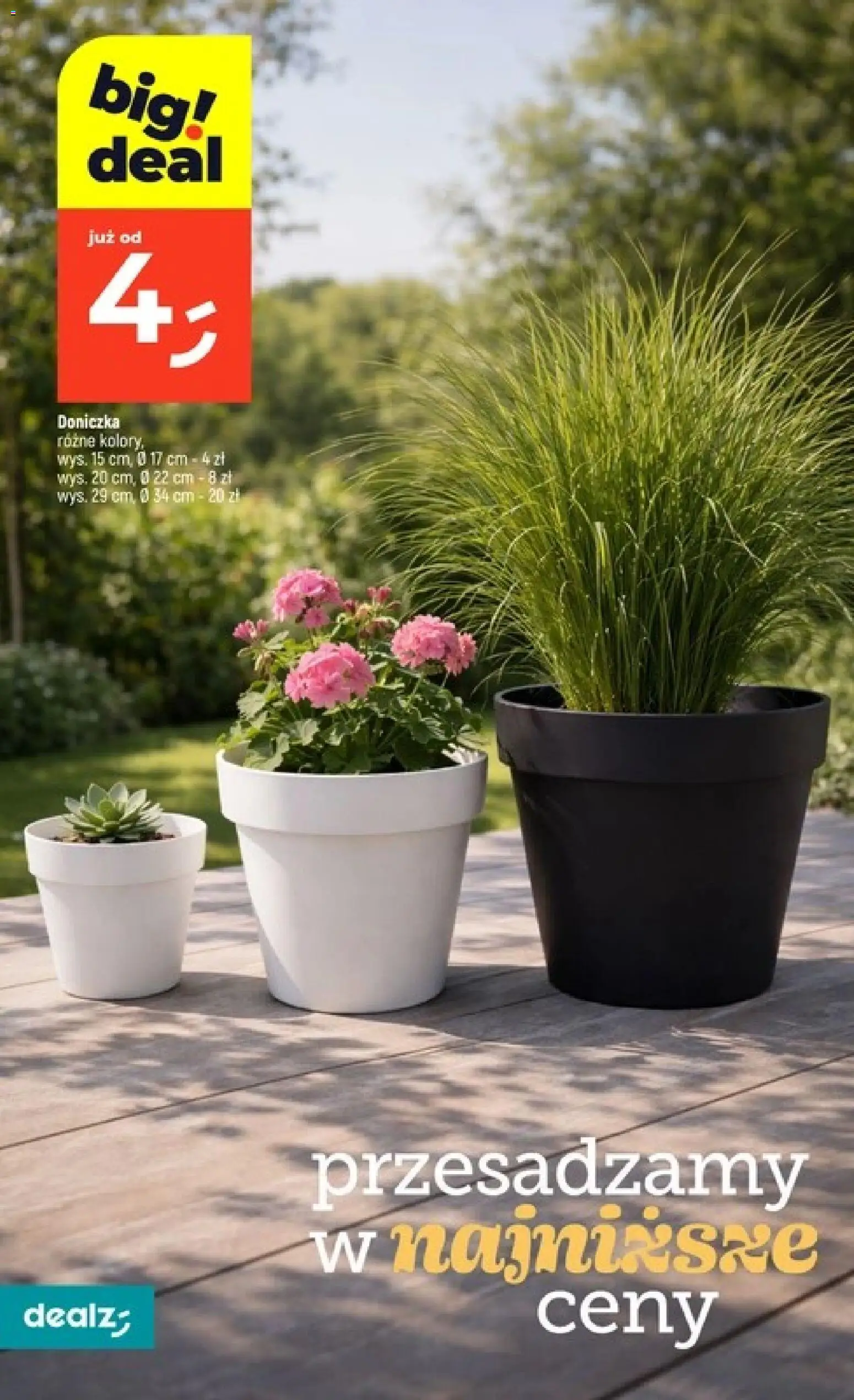 Dealz gazetka od 07.05.2026 | Strona: 36 | Produkty: Doniczka