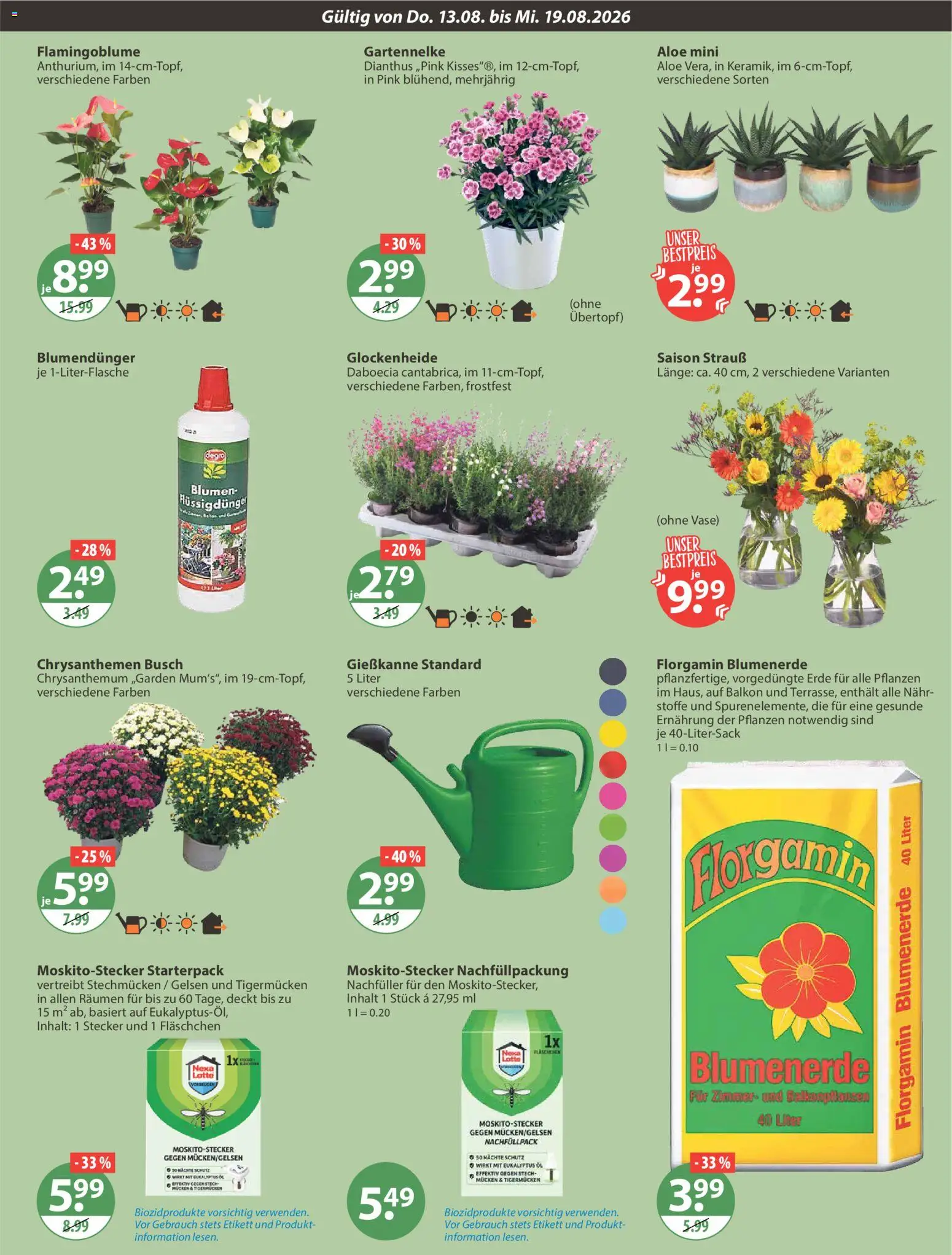 V-Markt Angebote – gültig ab 13.08.2026 | Seite: 17 | Produkte: Öl, Blumen, Vase, Blumenerde