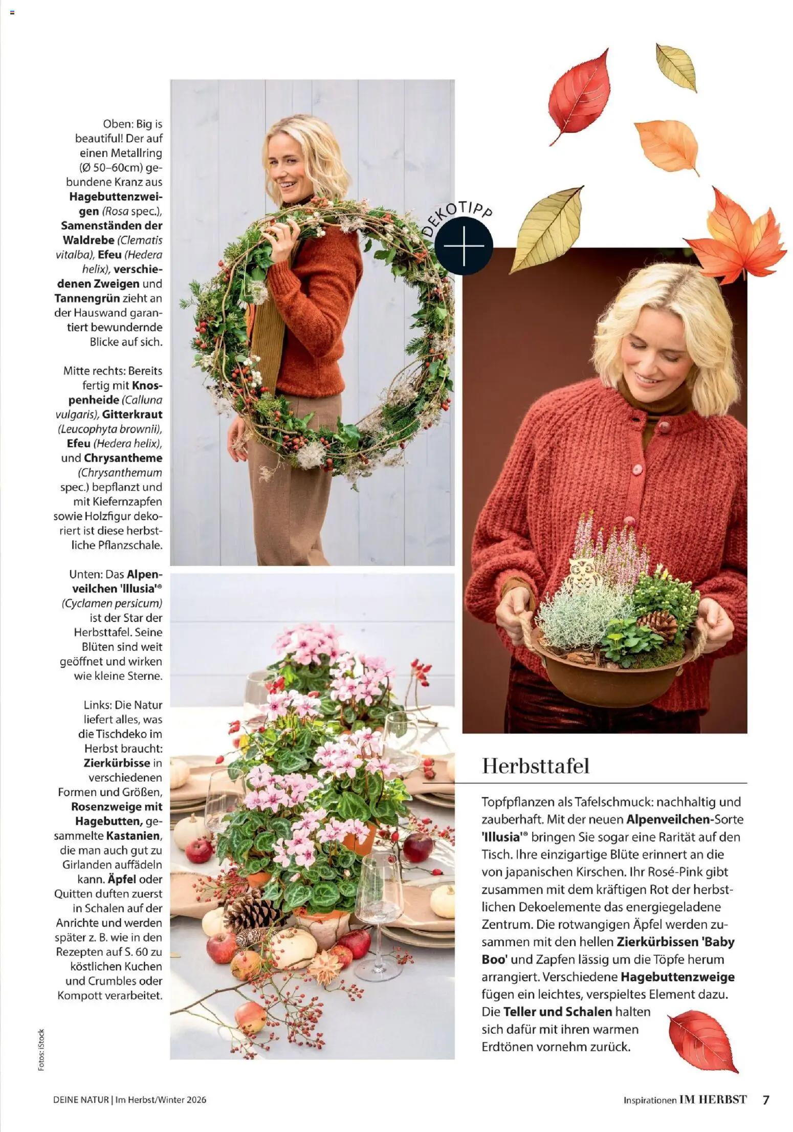 Dehner Magazine HERBST/WINTER 2026 gültig ab 09.10.2026 | Seite: 7 | Produkte: Anrichte, Äpfel